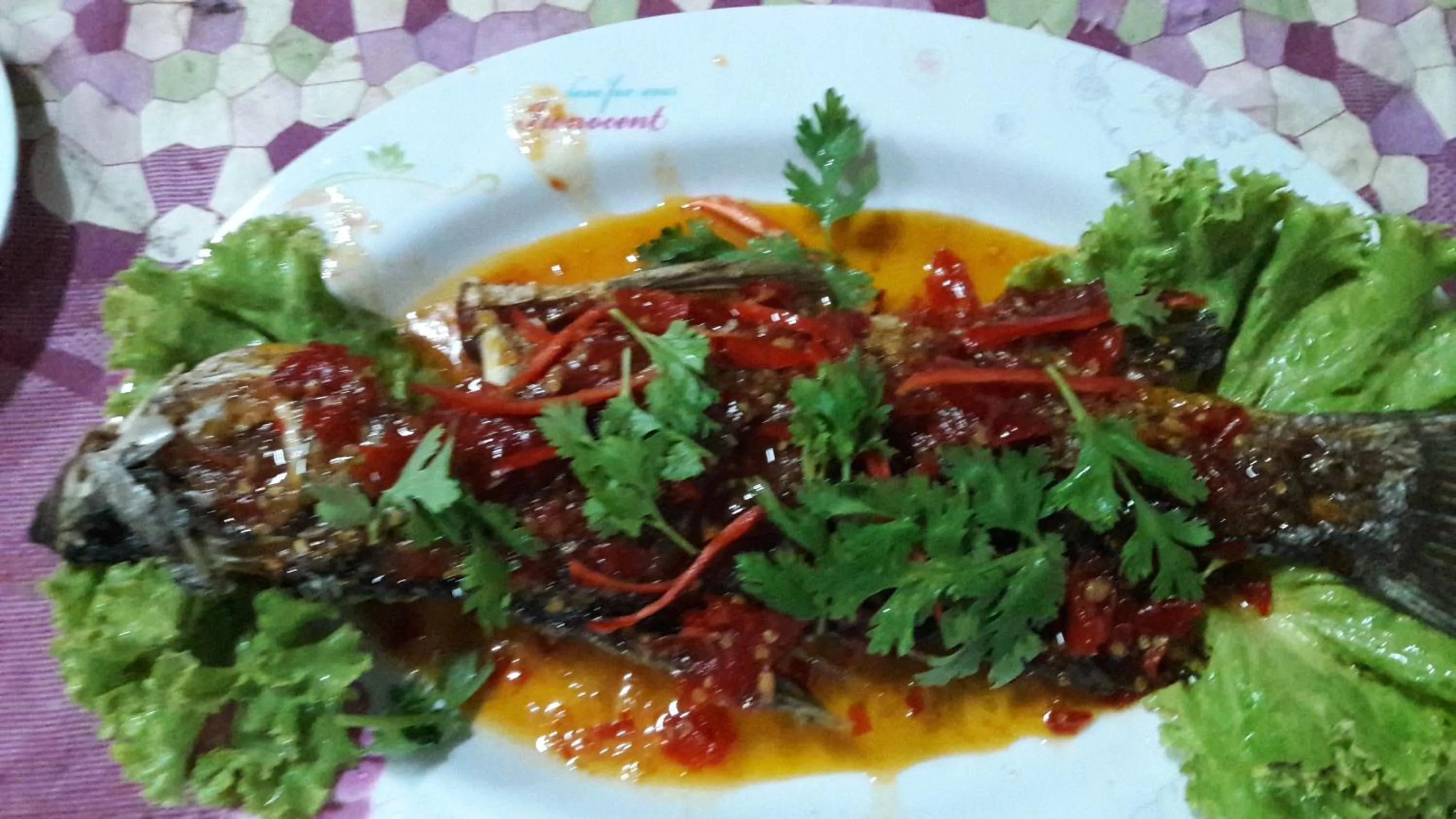 Food and drinks in Happy Days Resort