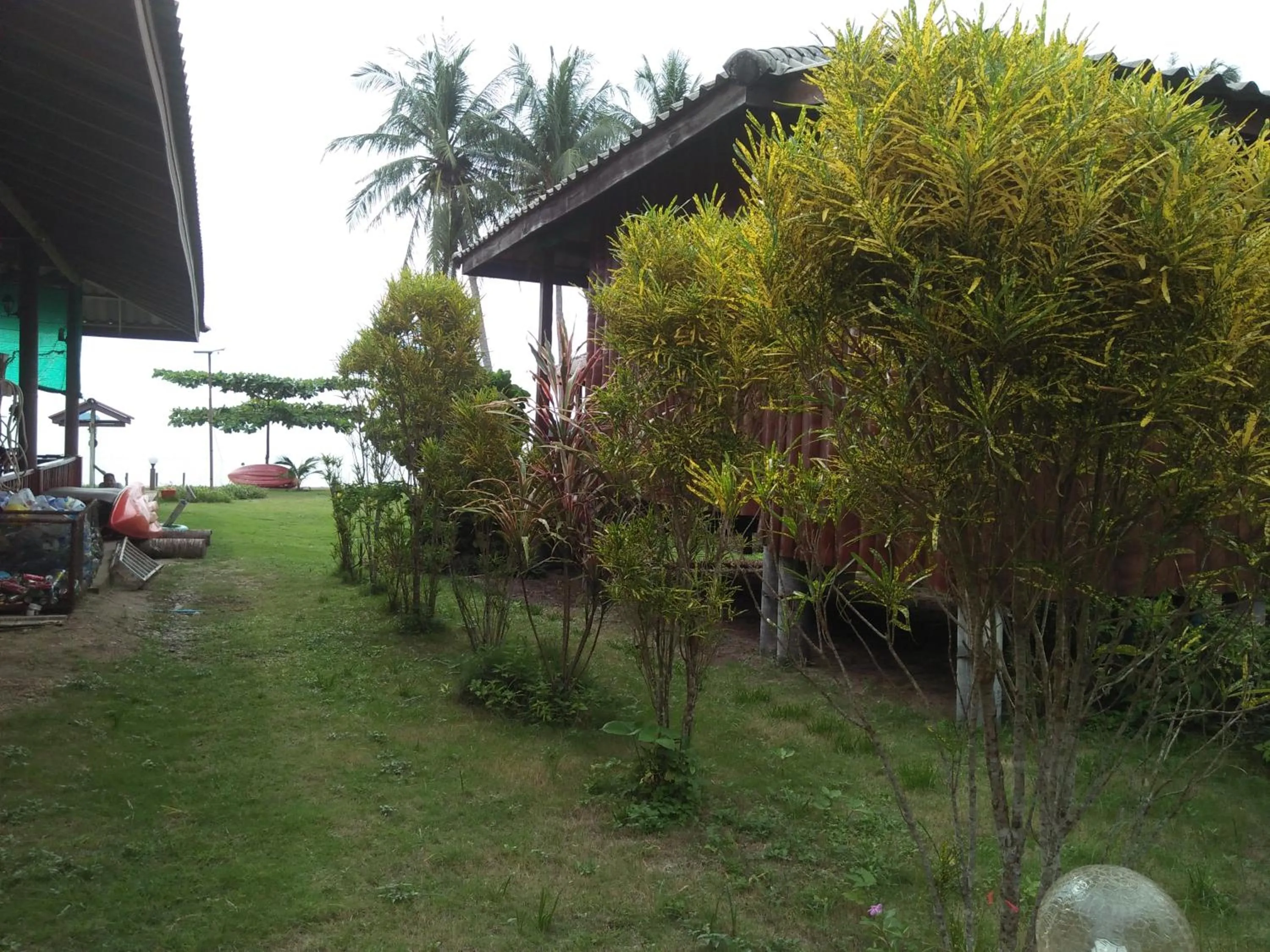 Natural landscape in Happy Days Resort