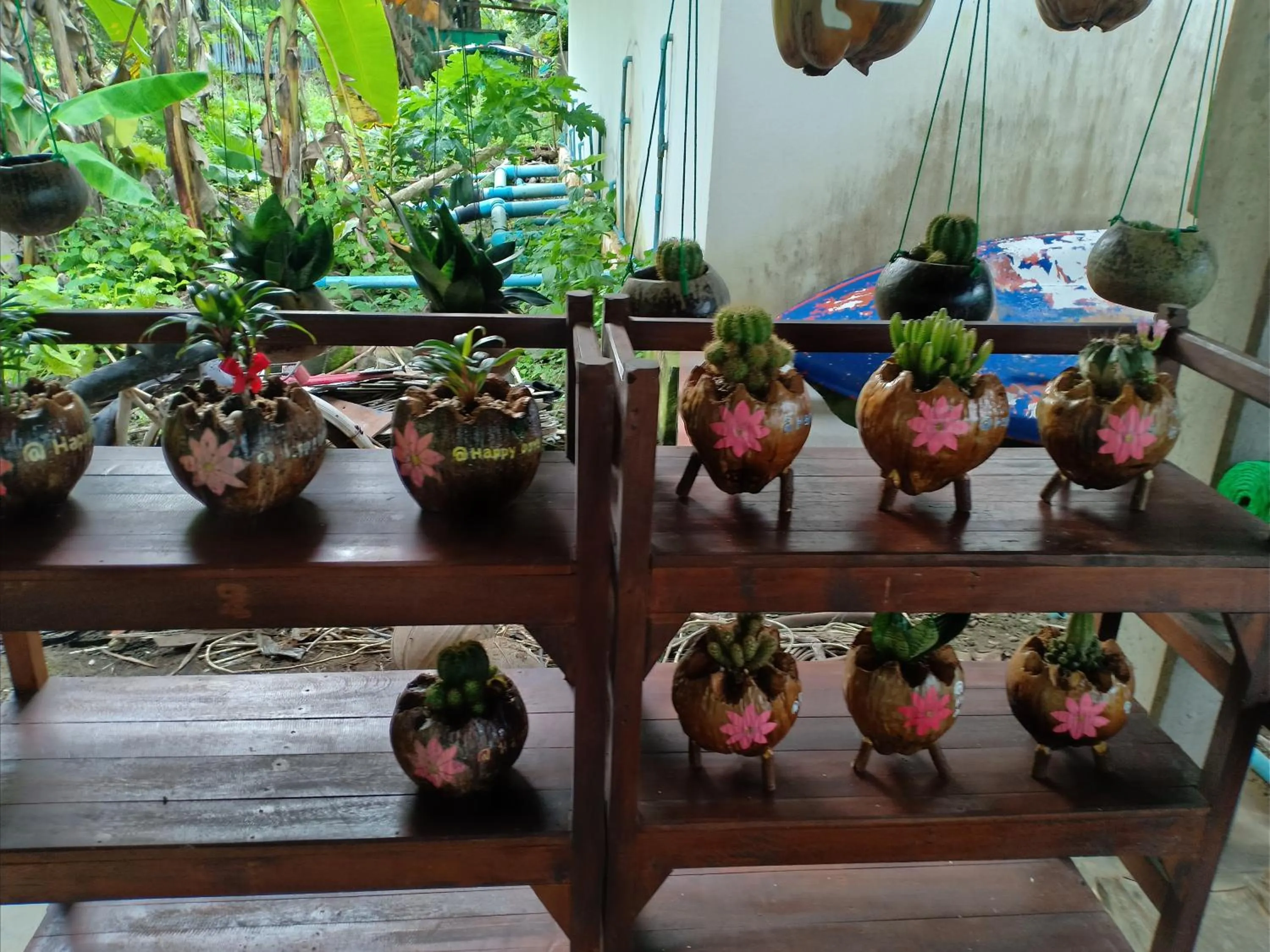 Garden in Happy Days Resort