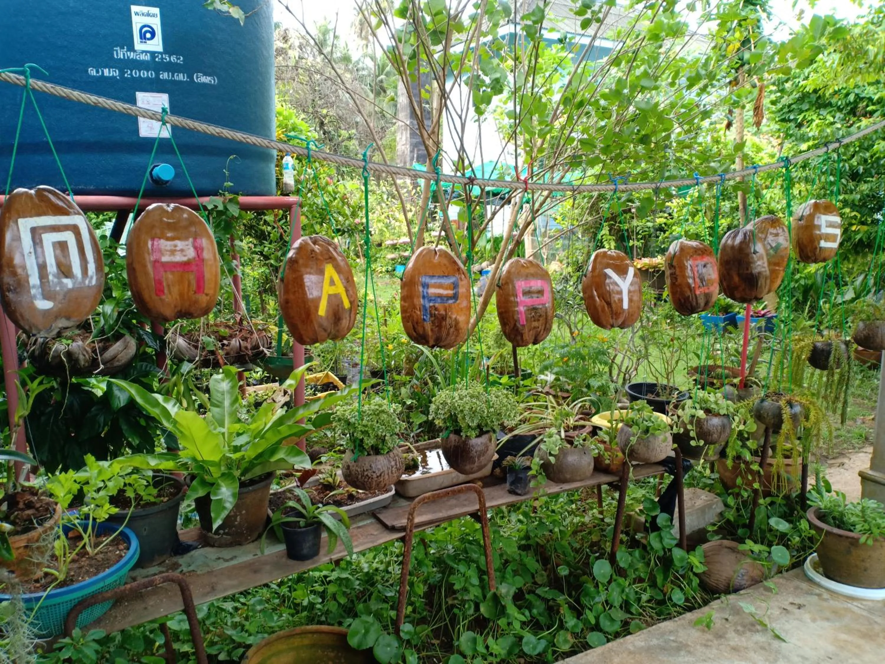 Garden in Happy Days Resort