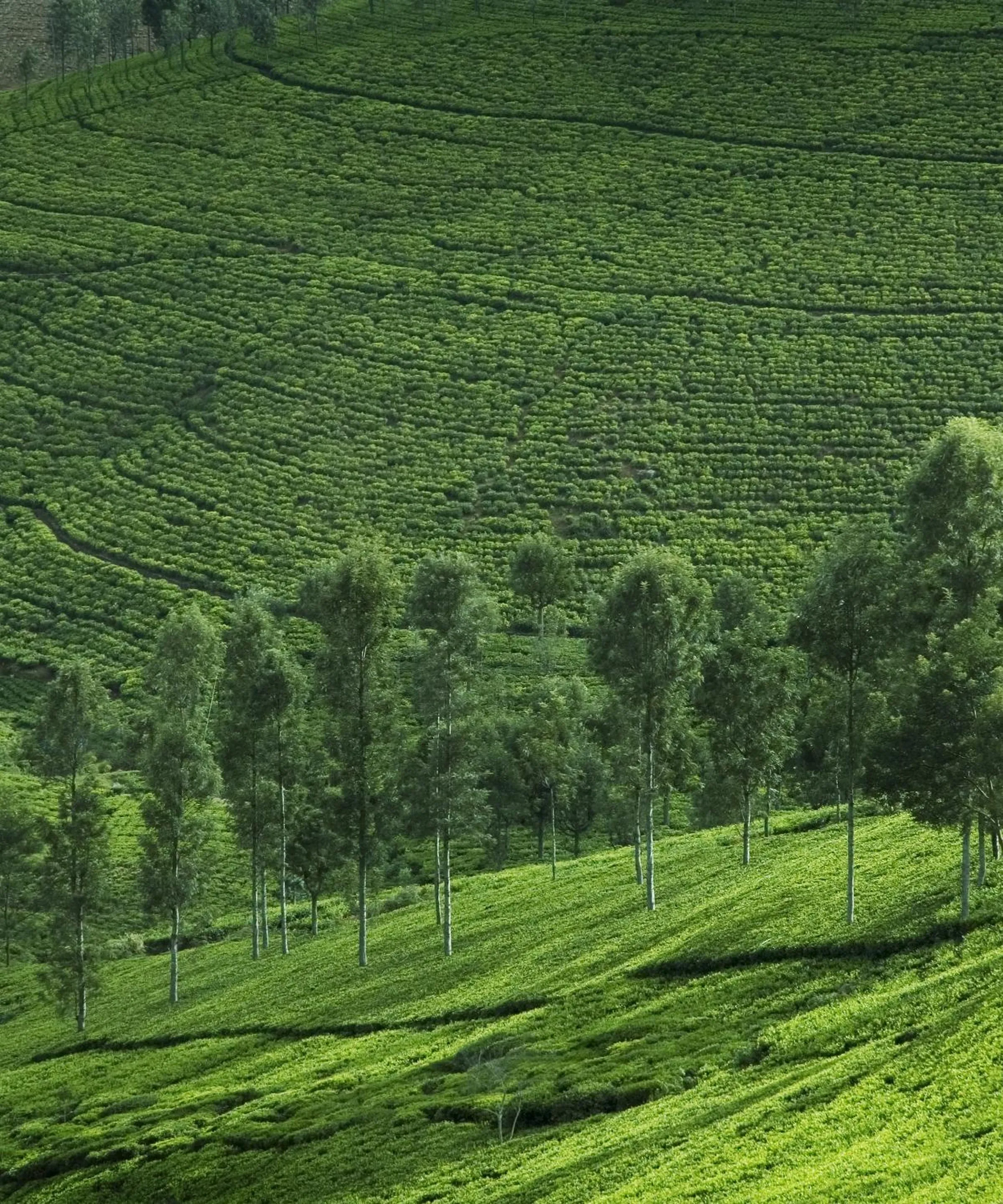 Natural landscape in Sabol Holidays