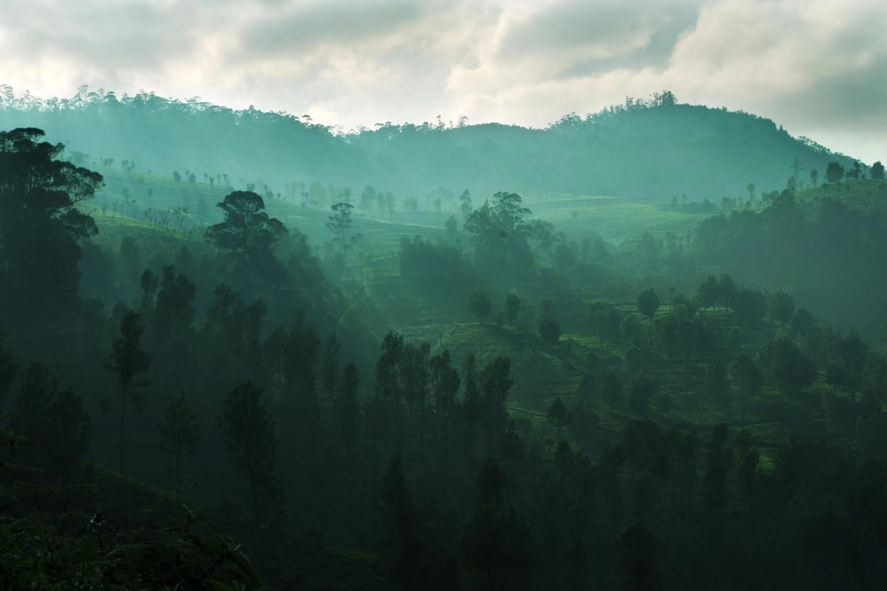 Natural landscape in Sabol Holidays