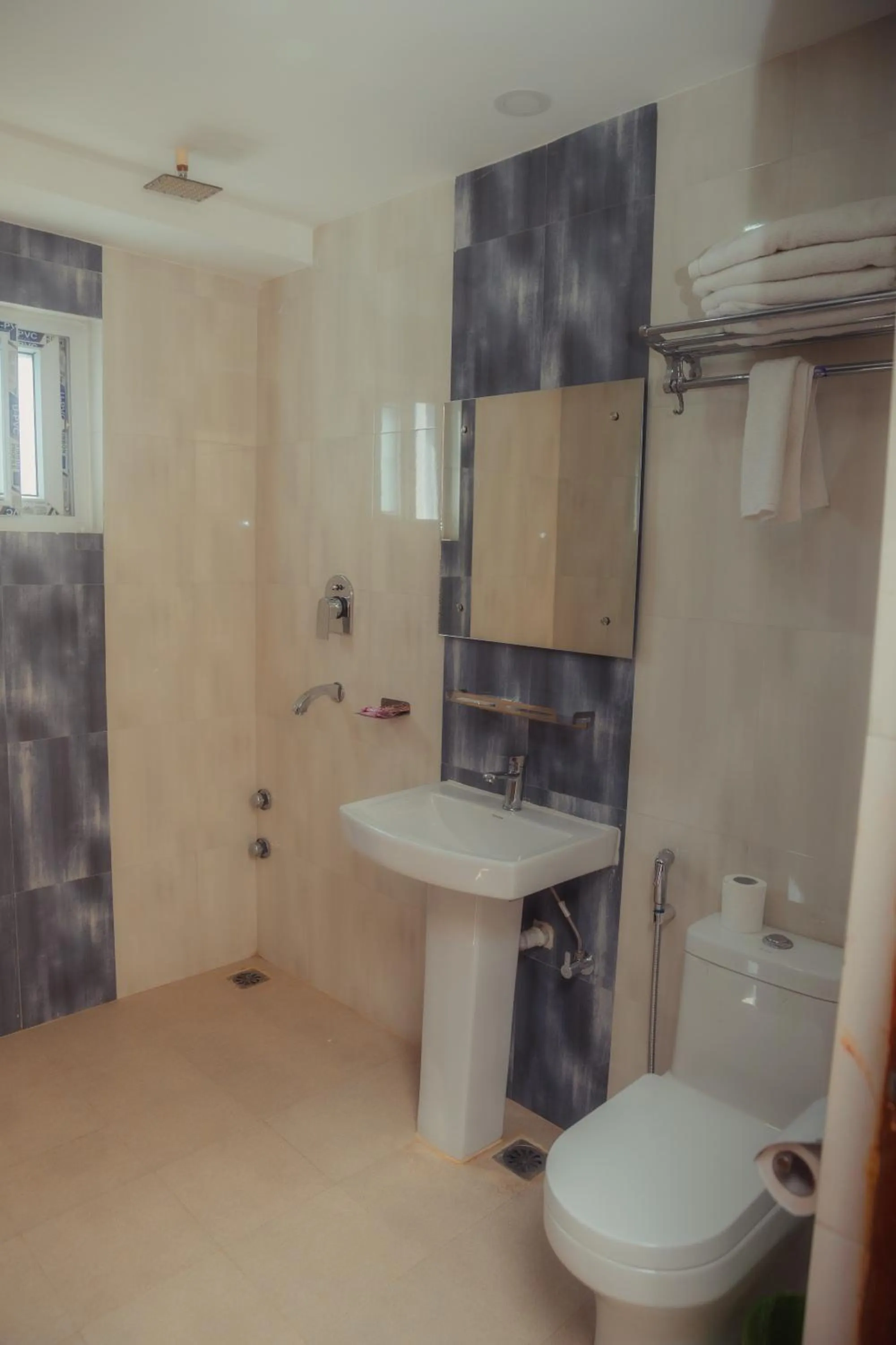 Shower in Shekhar's Place