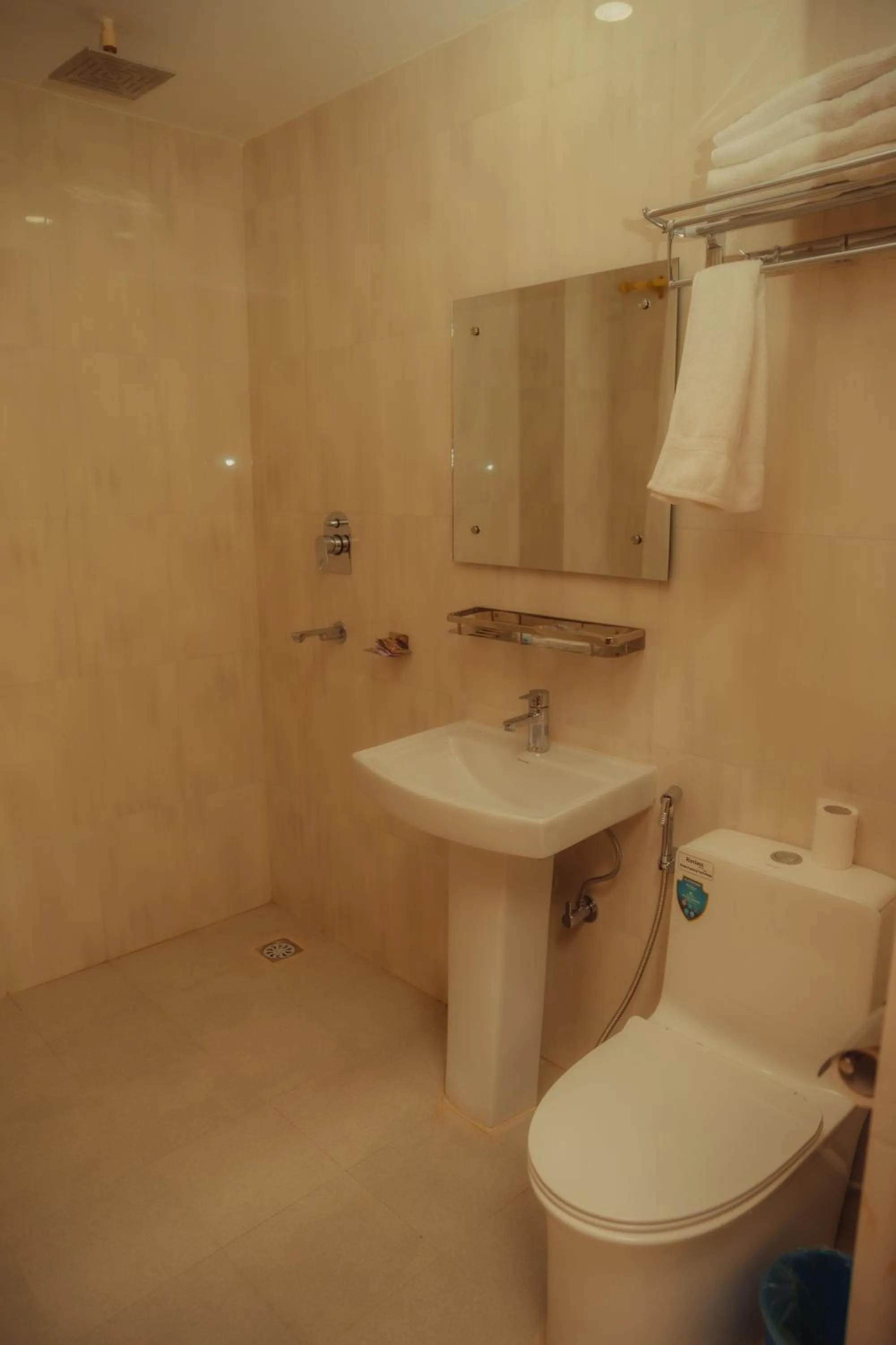 Shower in Shekhar's Place