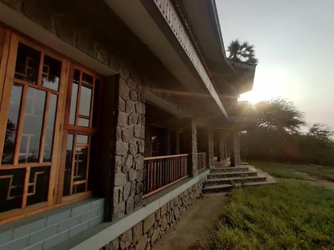 Garden view in Joppa Beach House