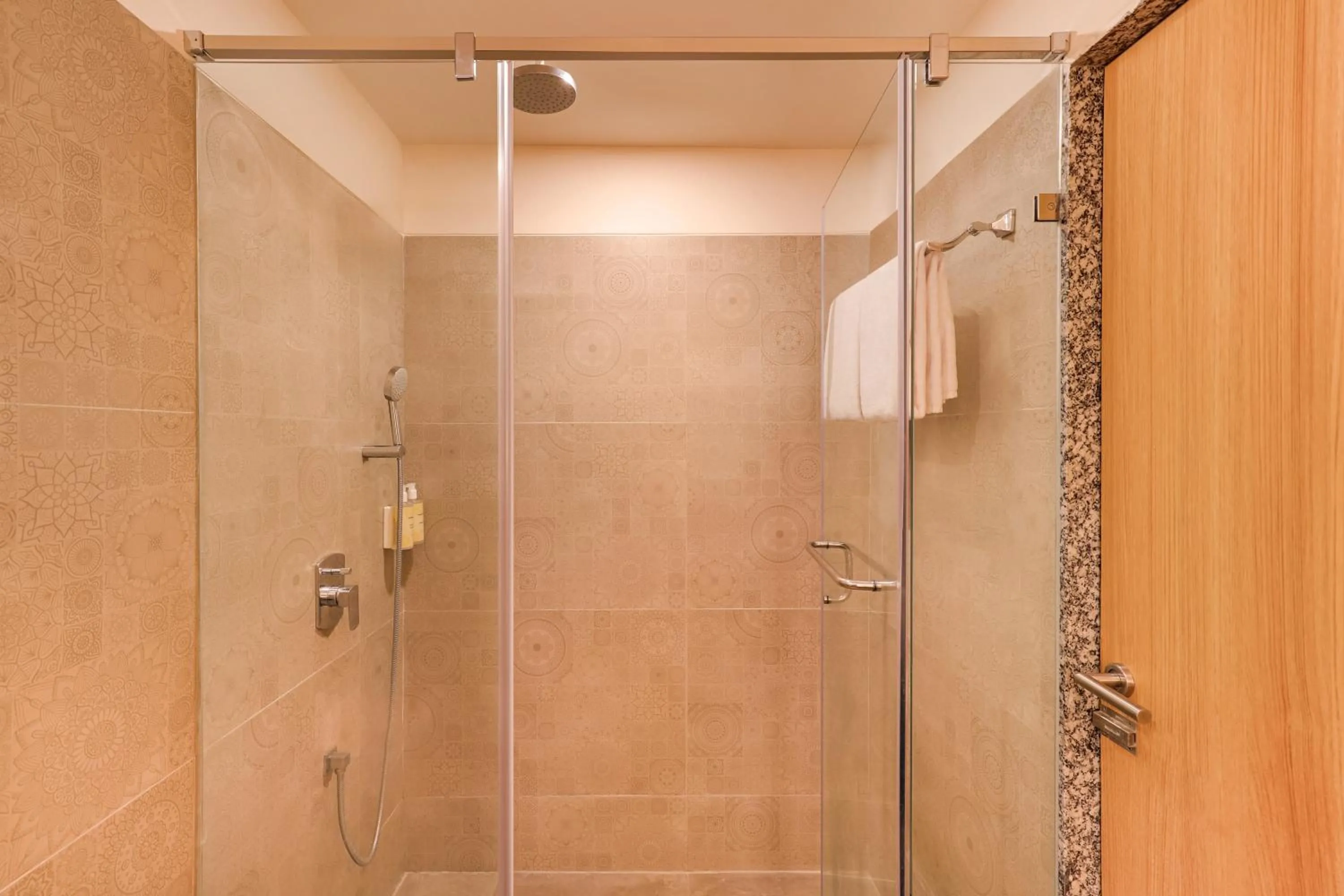 Bathroom in Lemon Tree Resort, Somnath