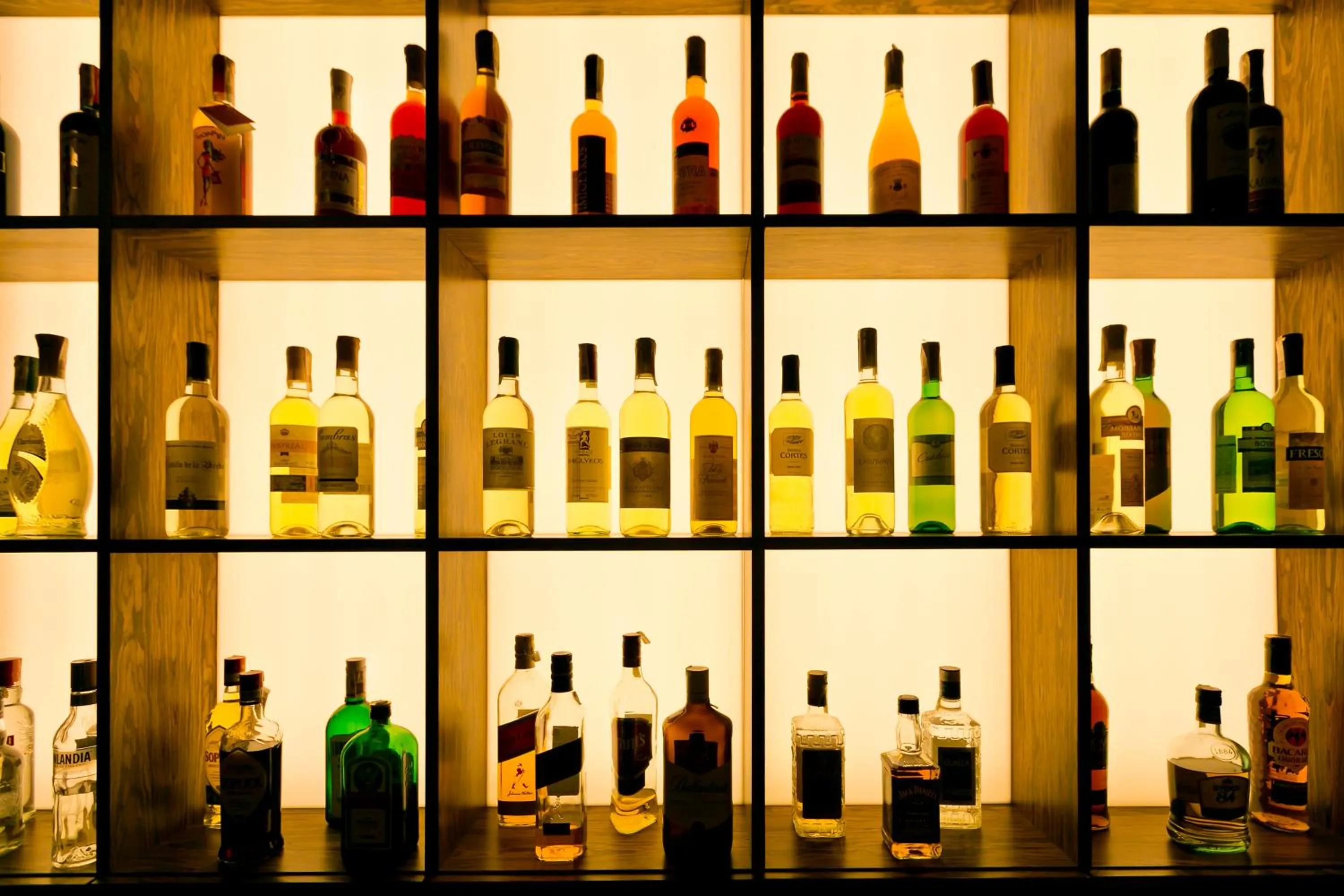 Lounge or bar in Hotel Martina