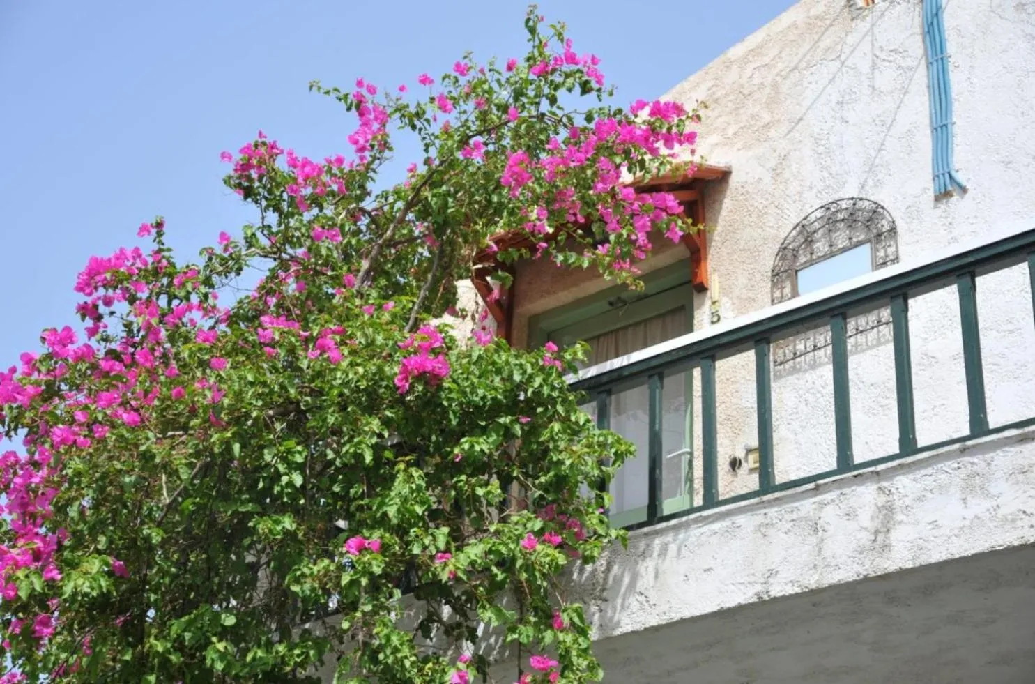 Garden in Elounda Collection Apartments