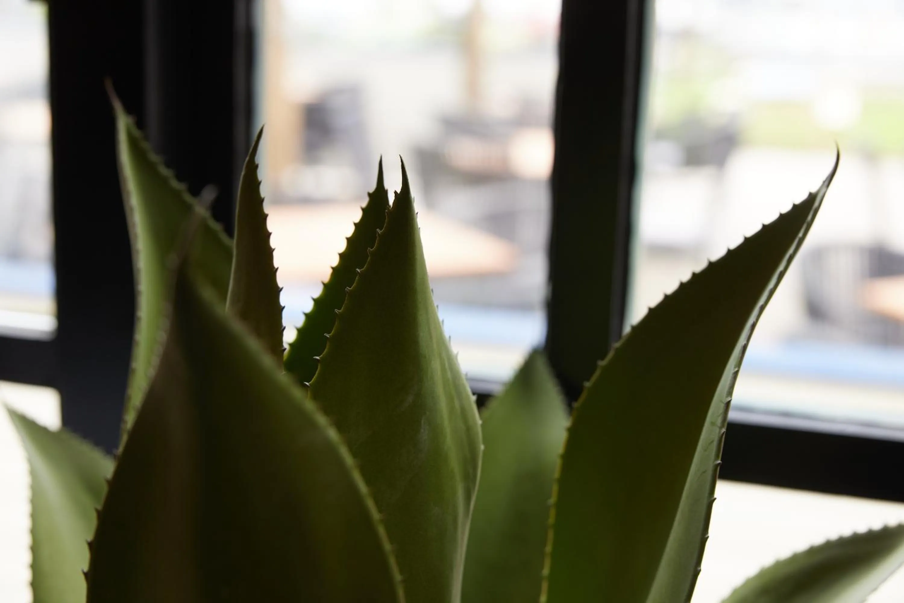 Decorative detail in The Kings Head Wroxham by Greene King Inns