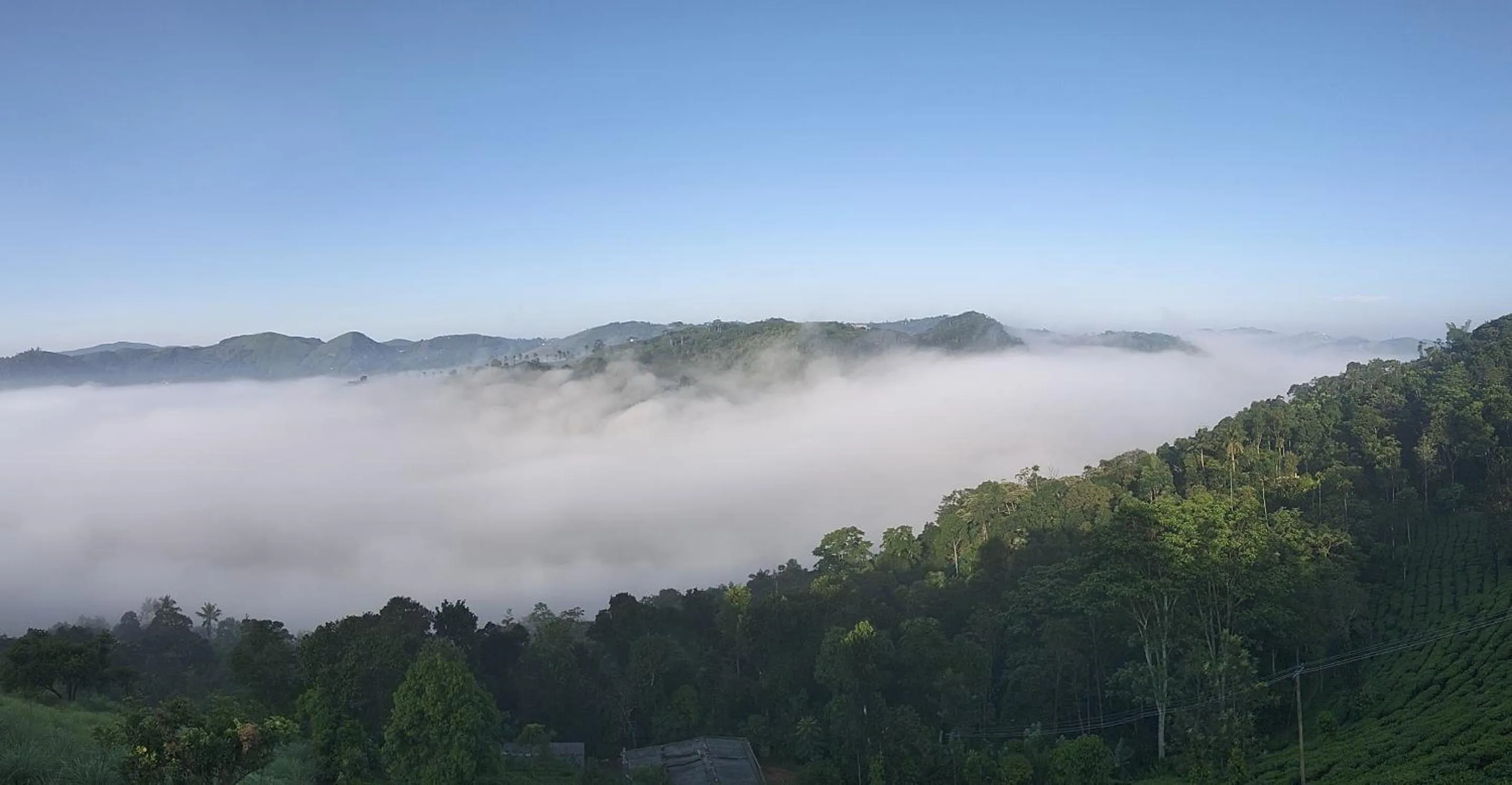 View (from property/room) in Dusk Vistas Resort