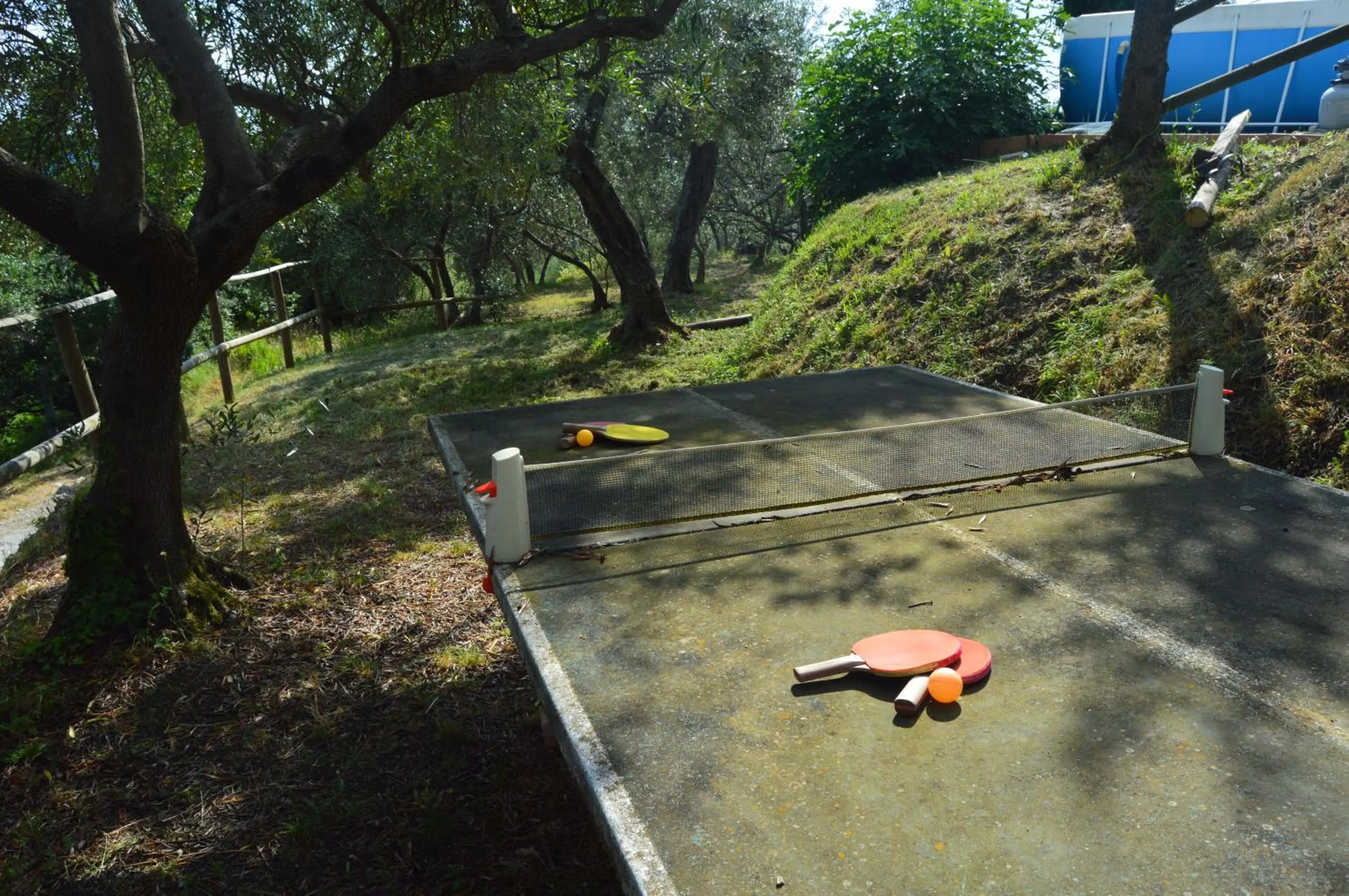 Garden in Casa Sarticola