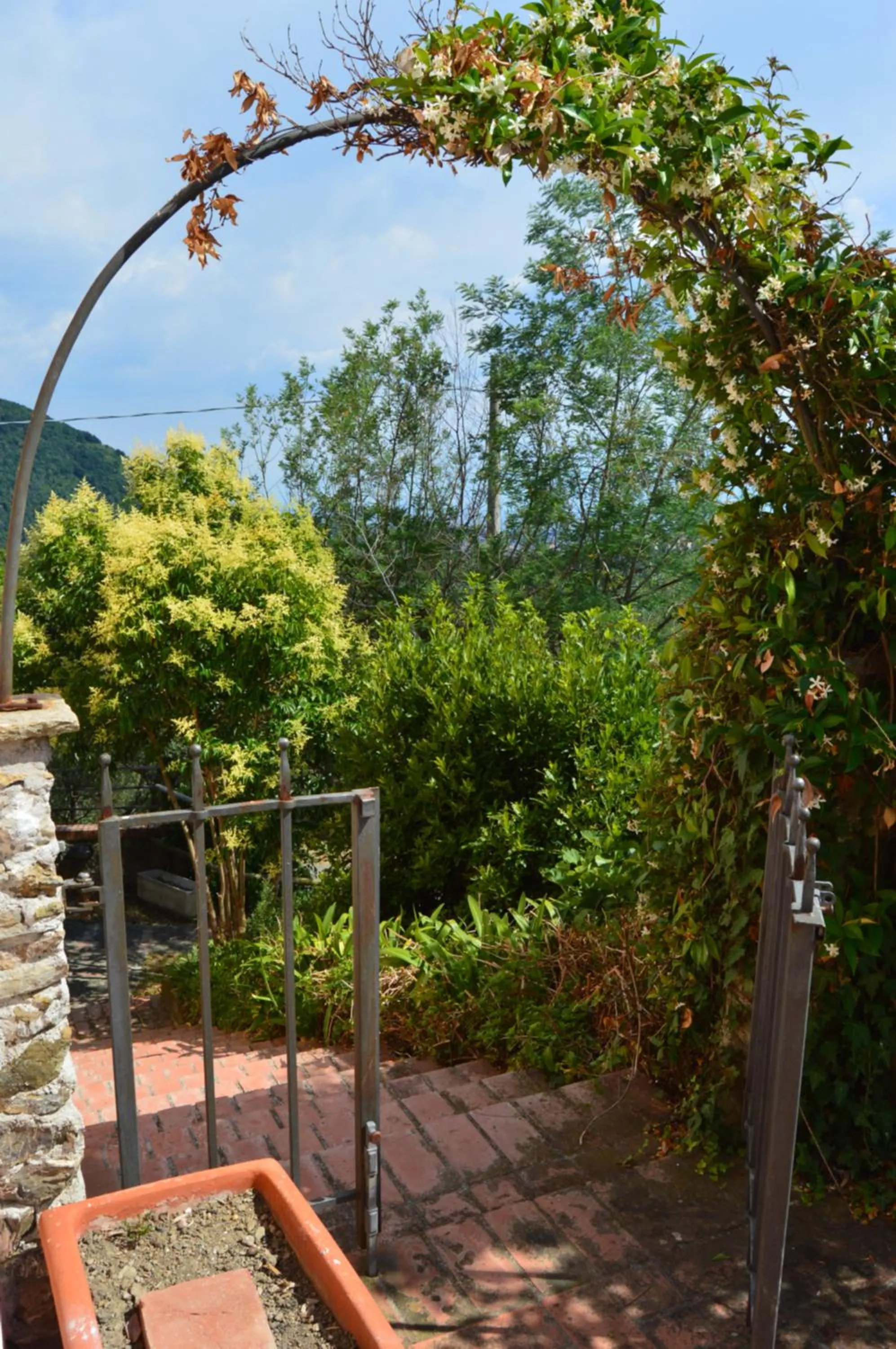 Garden in Casa Sarticola