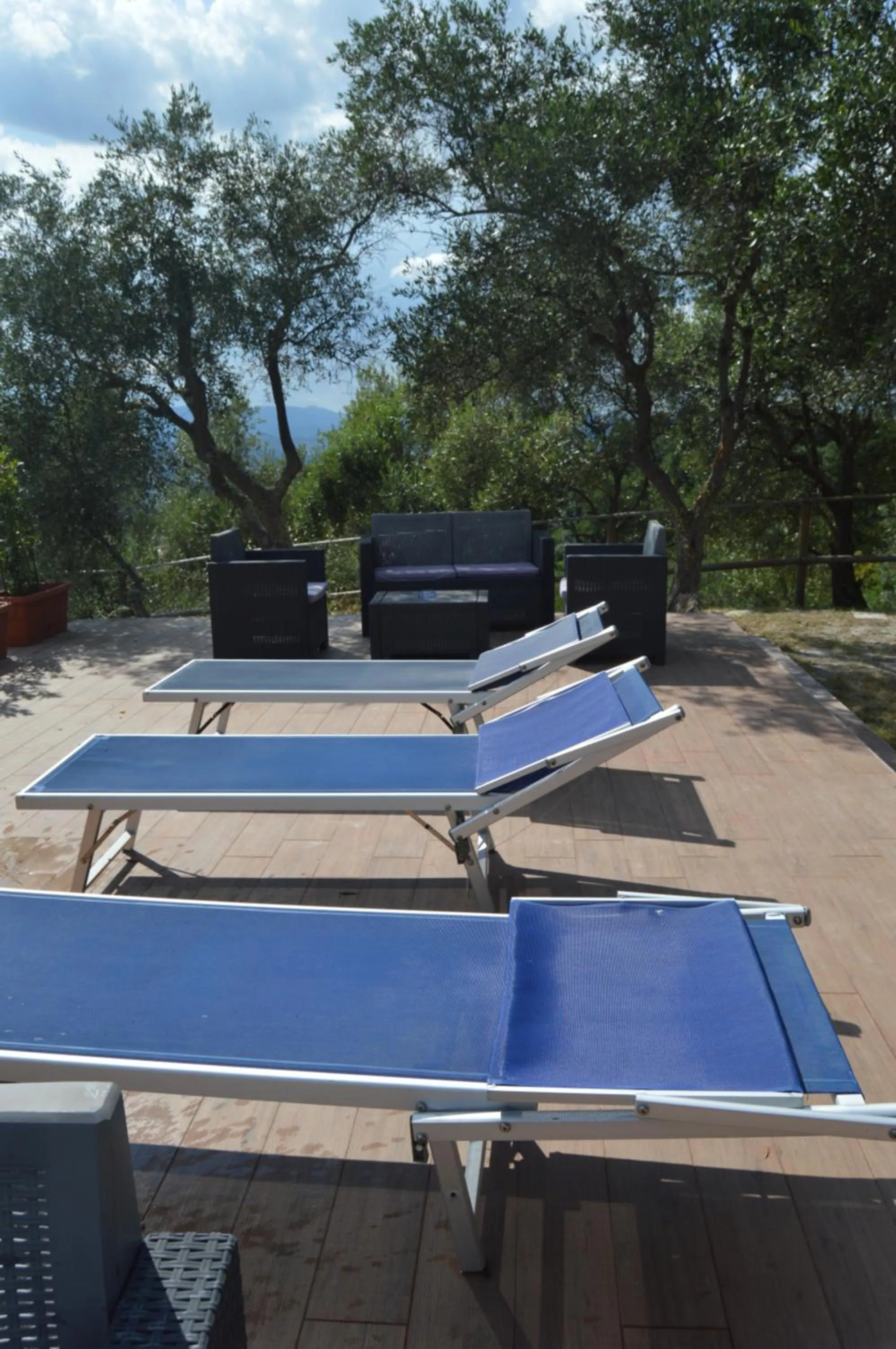 Patio in Casa Sarticola