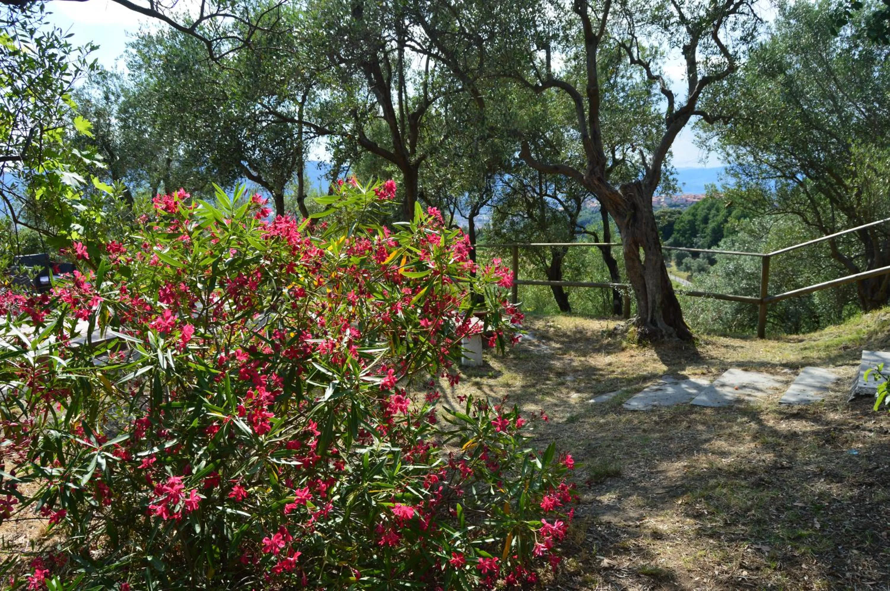 Garden in Casa Sarticola