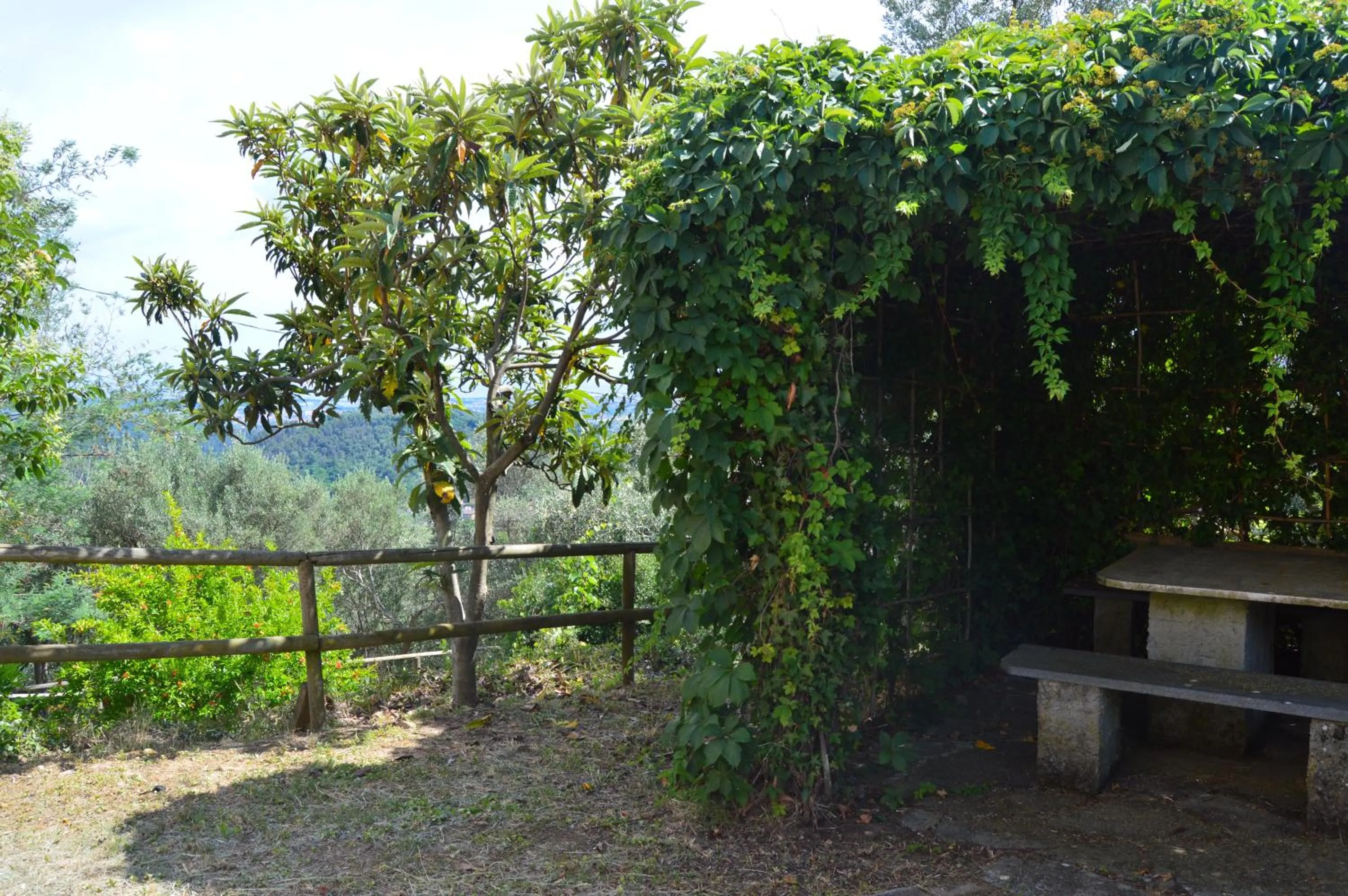 Garden in Casa Sarticola