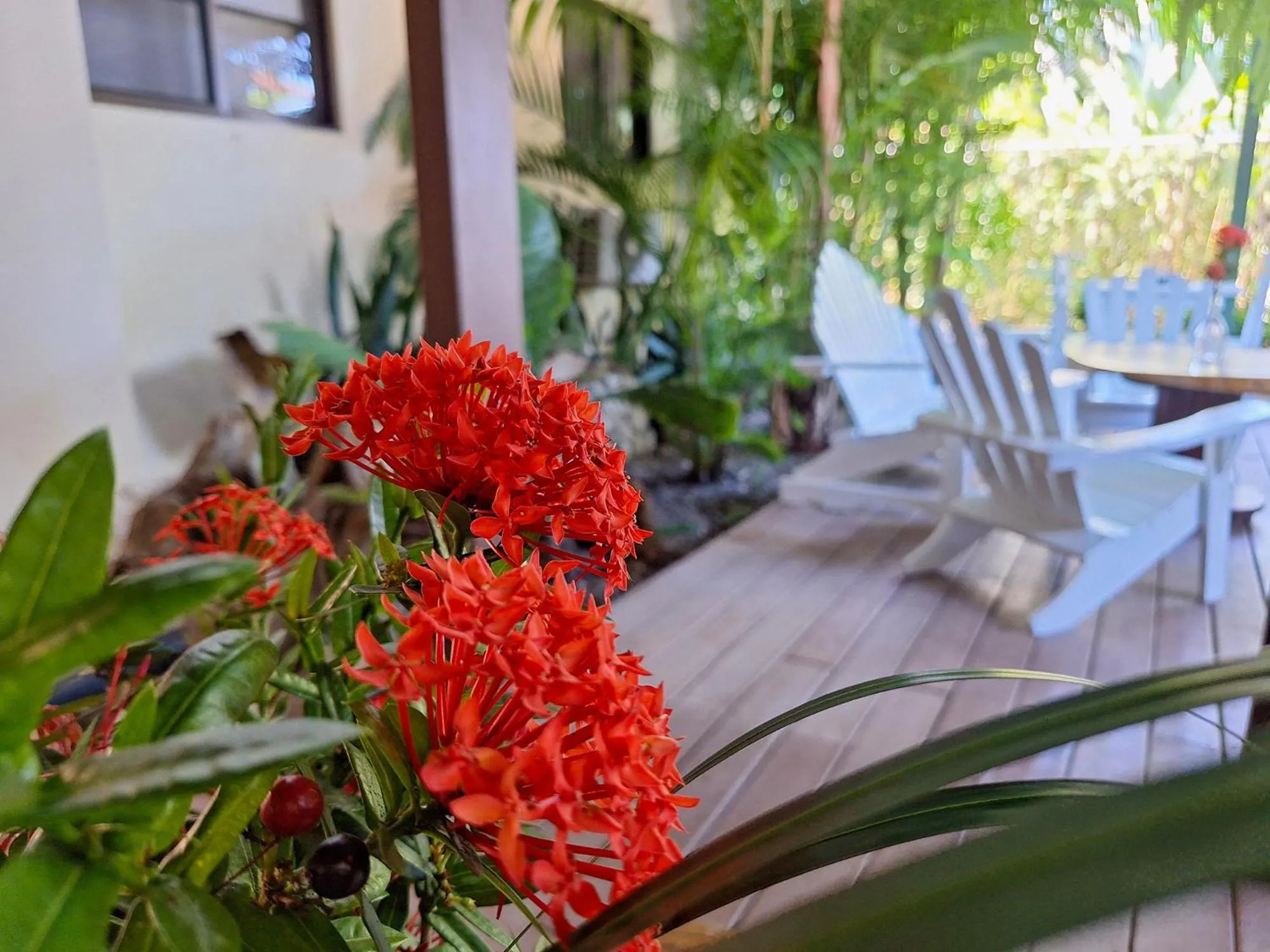 Garden in Infiniti Hotel