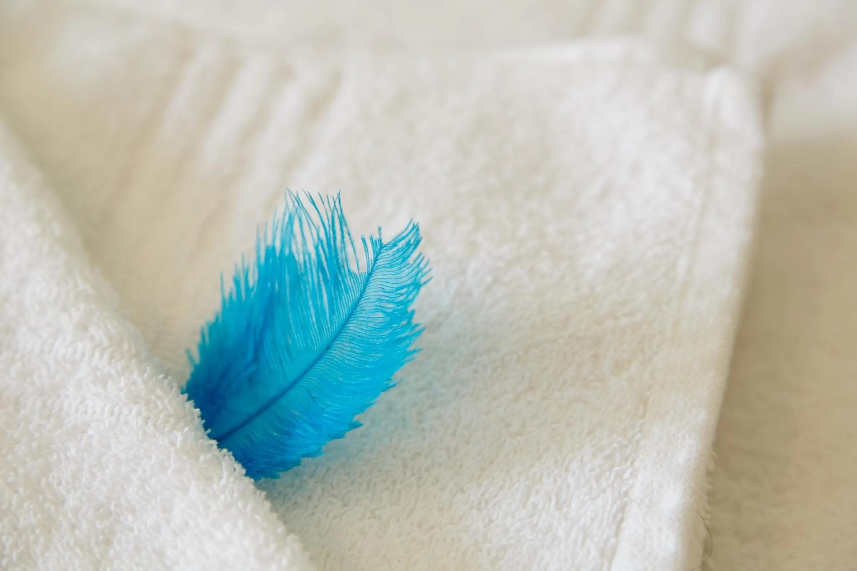 @Yamkela Guest House