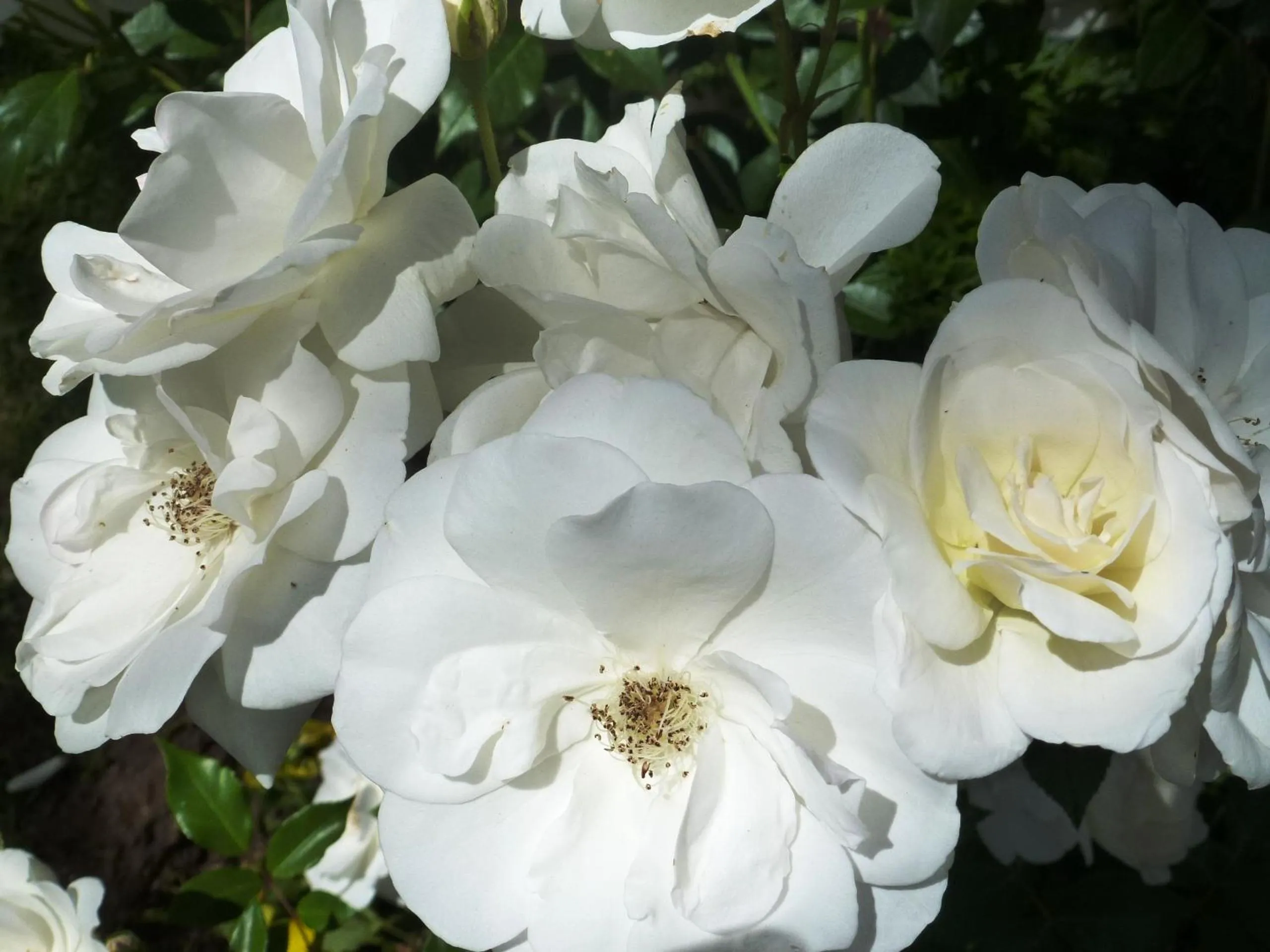 @Yamkela Guest House