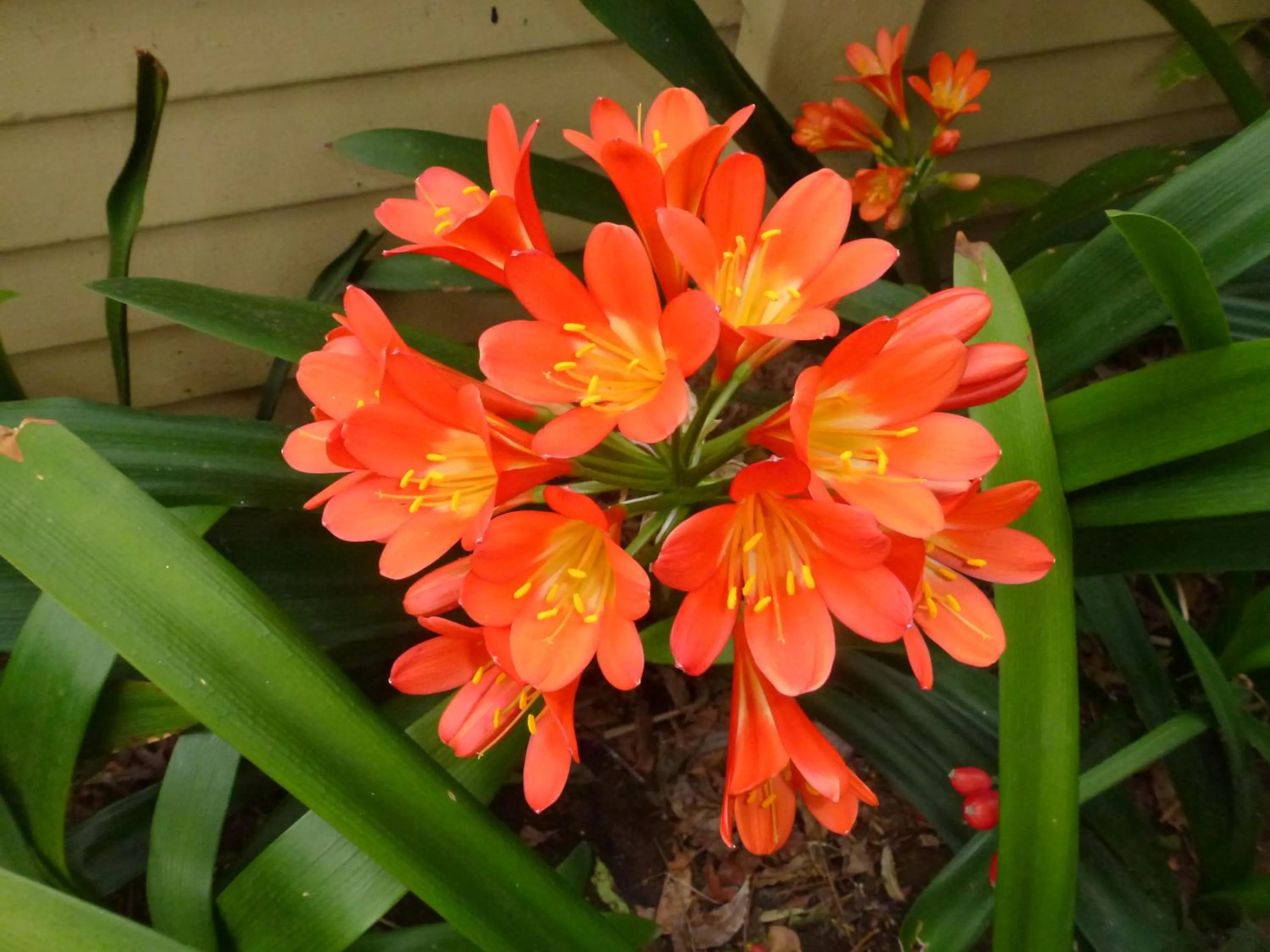 @Yamkela Guest House