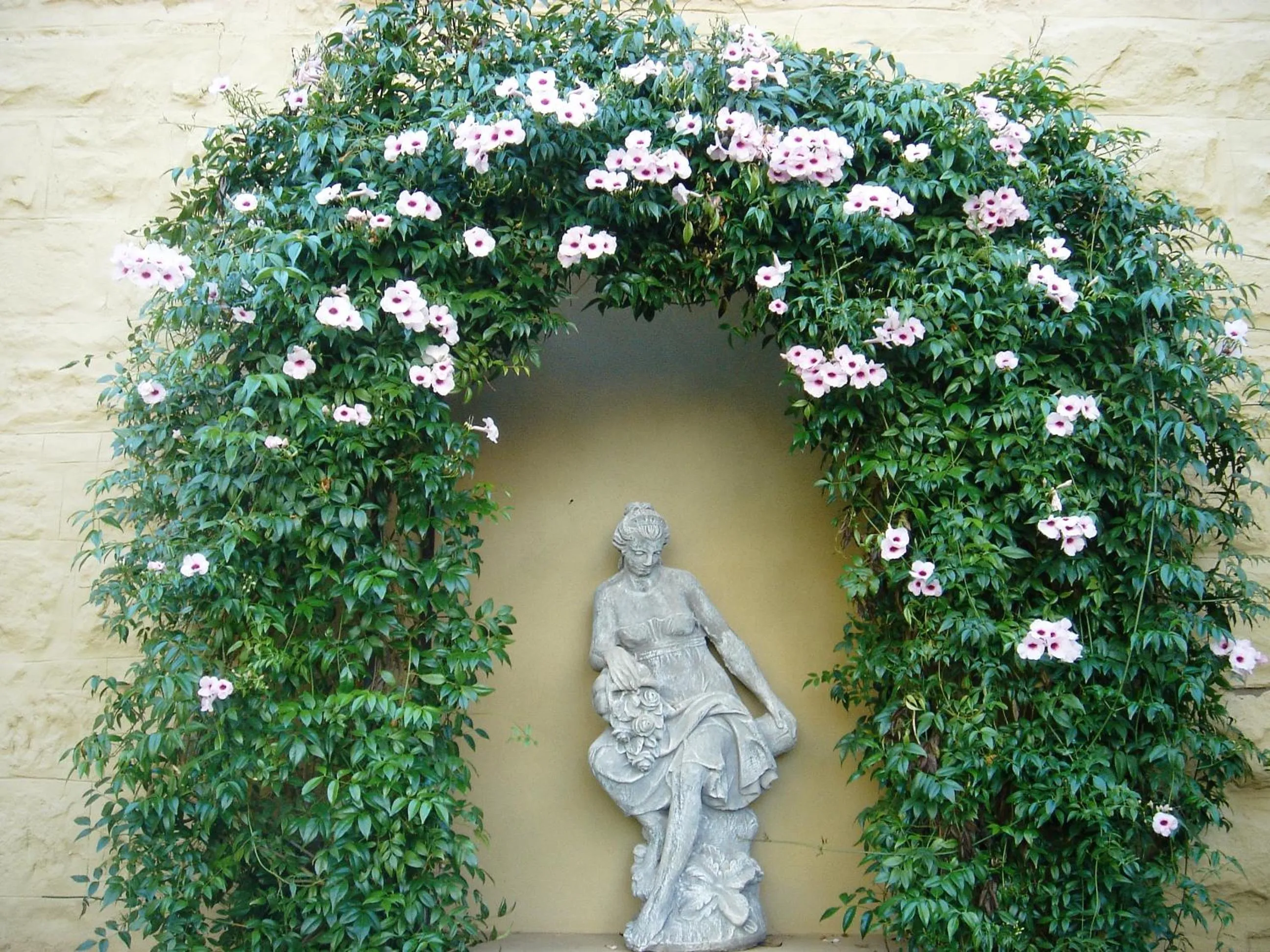 @Yamkela Guest House