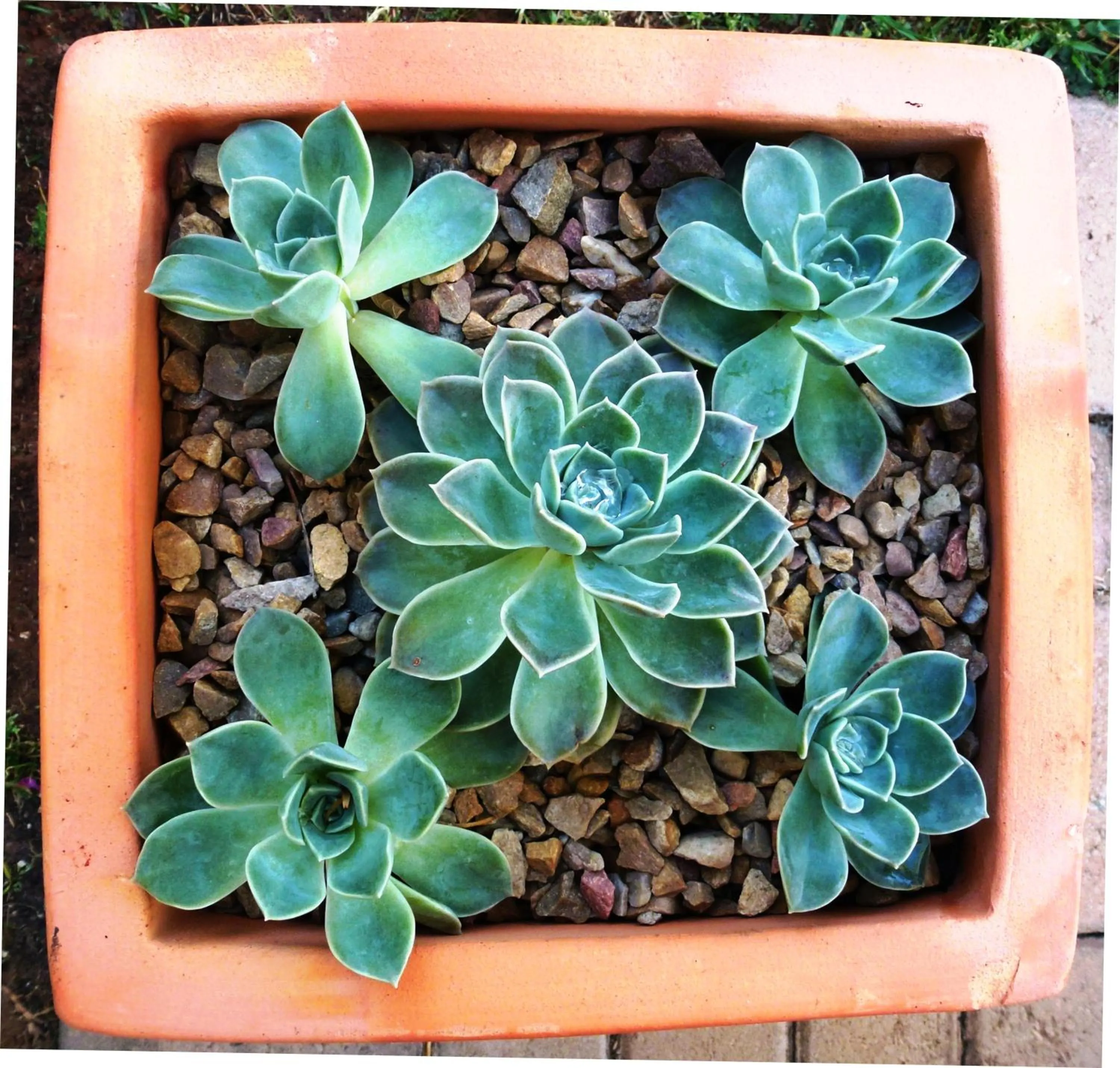 @Yamkela Guest House