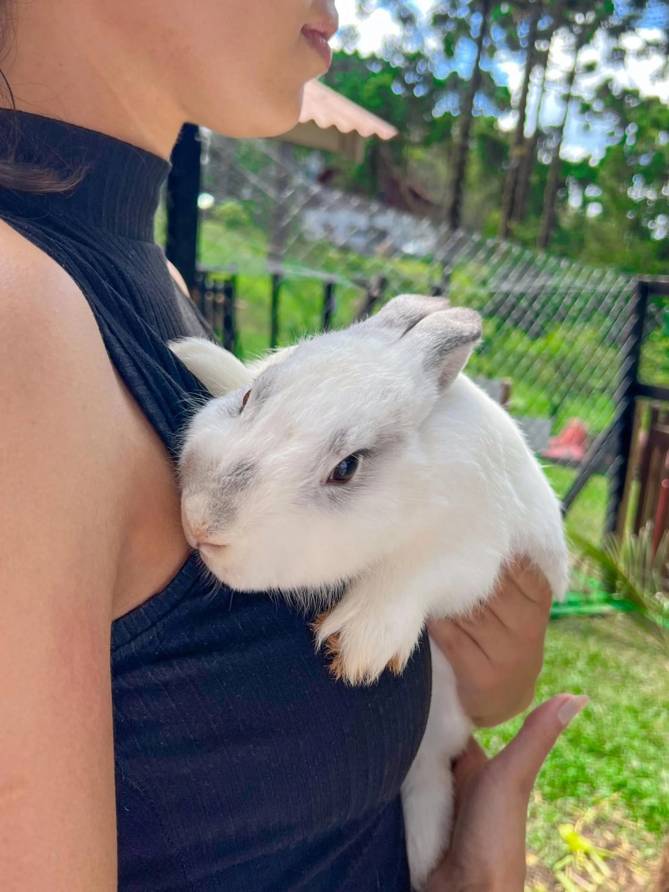 Animals in Hotel Fazenda Golden Park Campos do Jordão