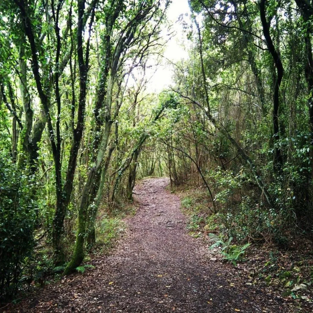 Hiking in Andamur San Román