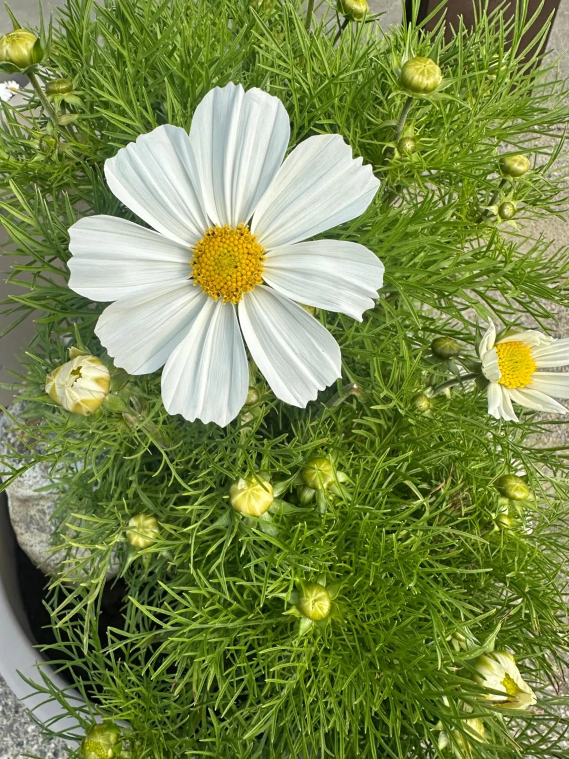 Selvbetjent leilighetshotell på Ålgård