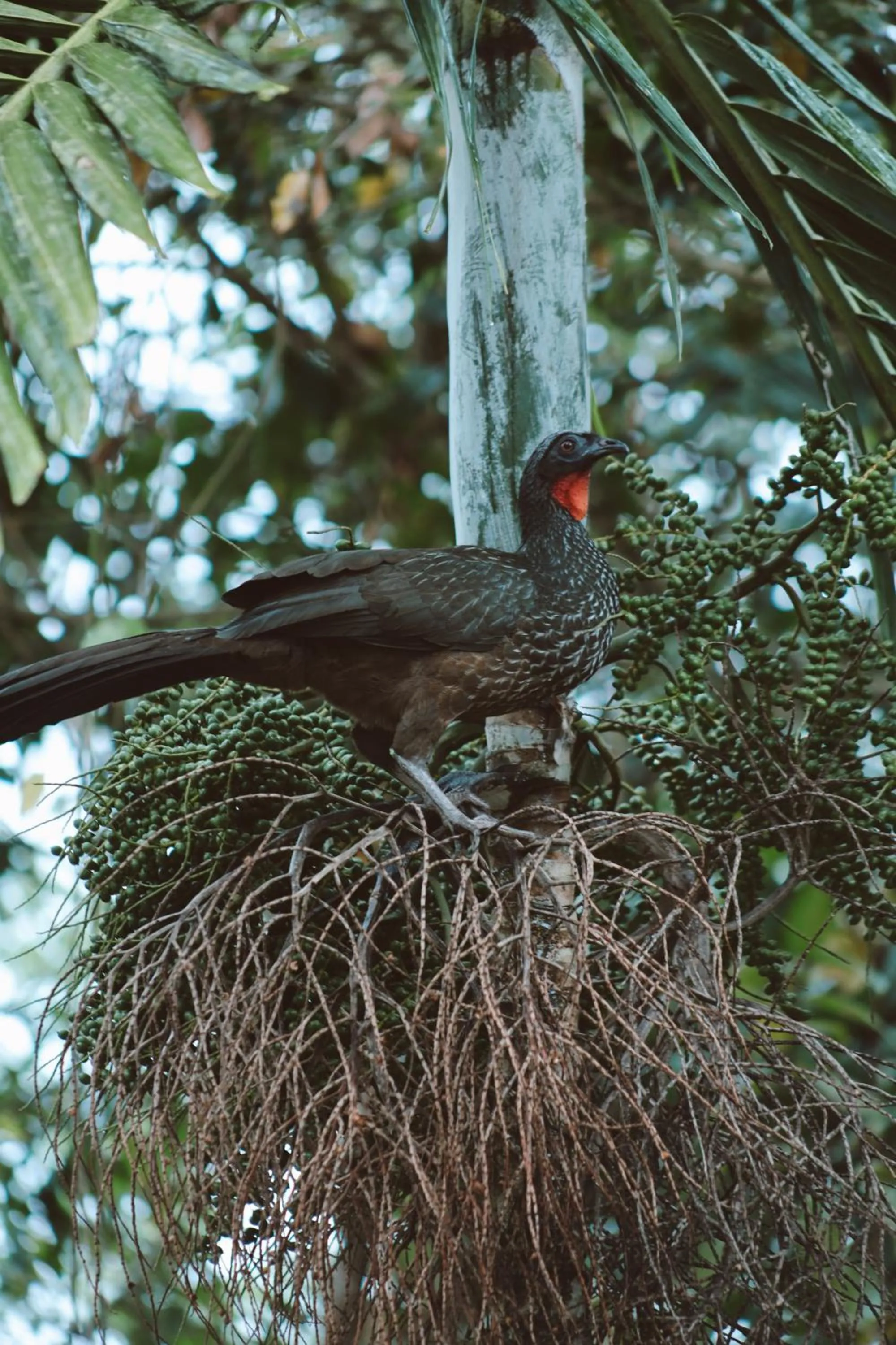 Pousada Recanto Jota Ge