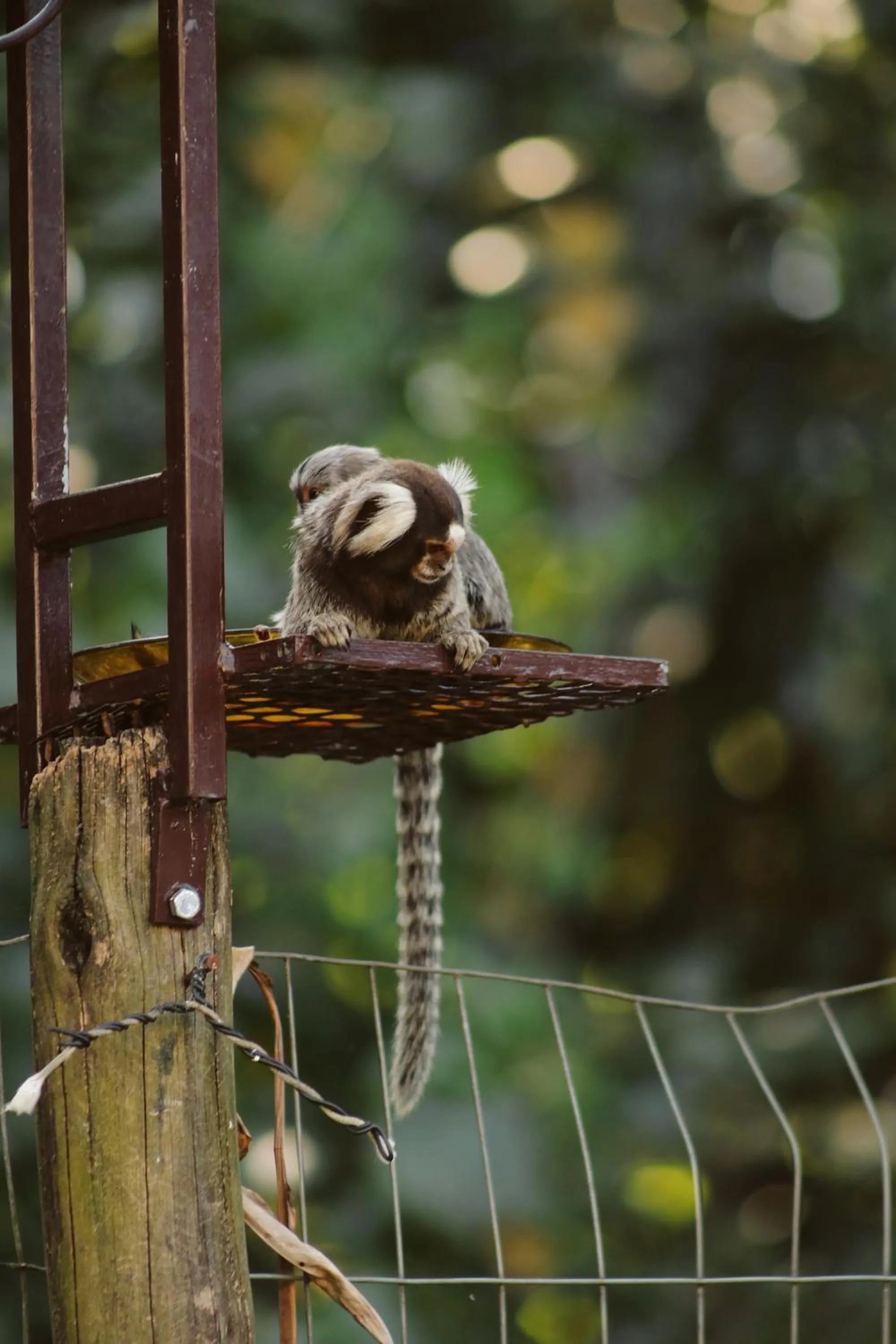 Pousada Recanto Jota Ge