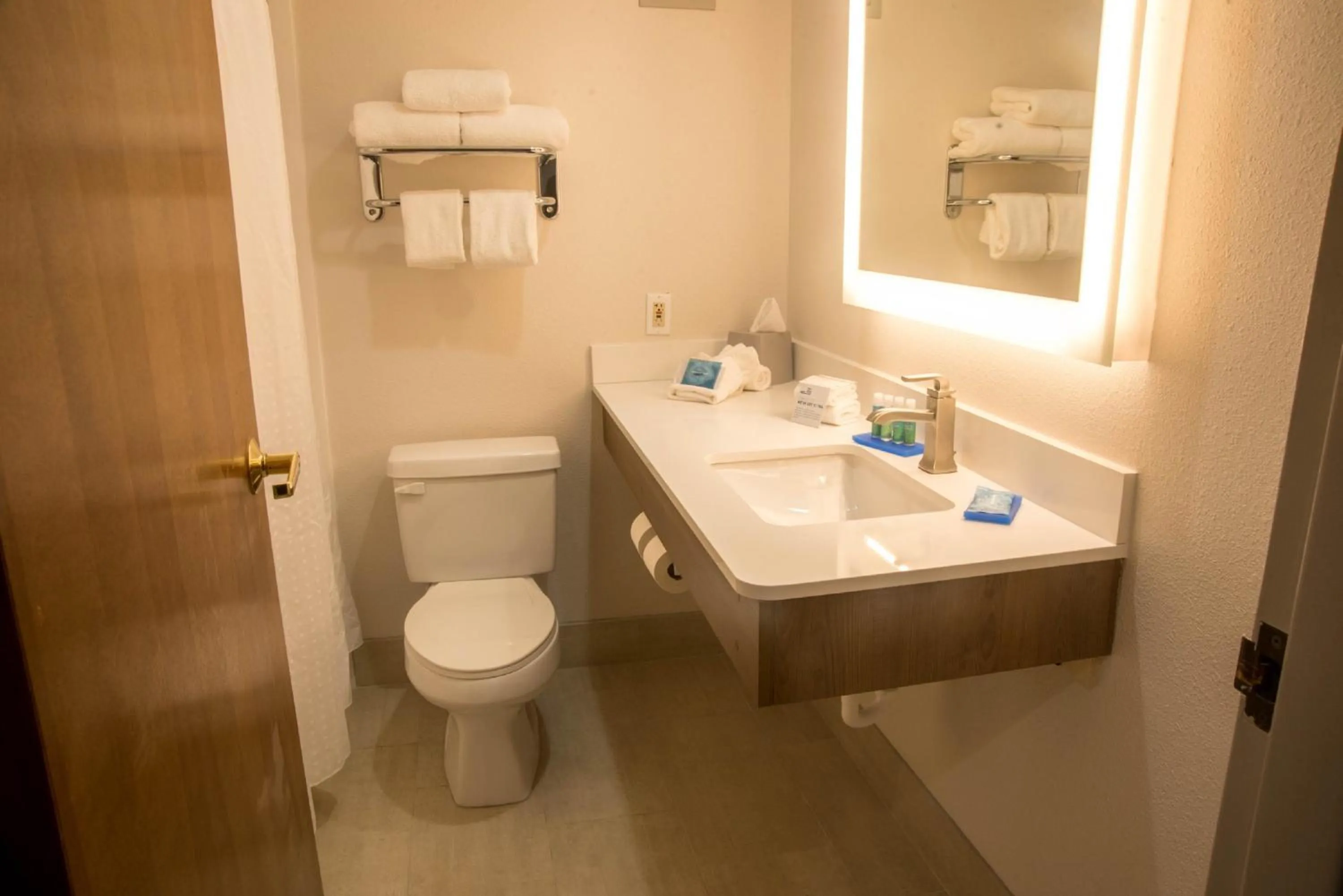 Bathroom in Holiday Inn Express Easton by IHG