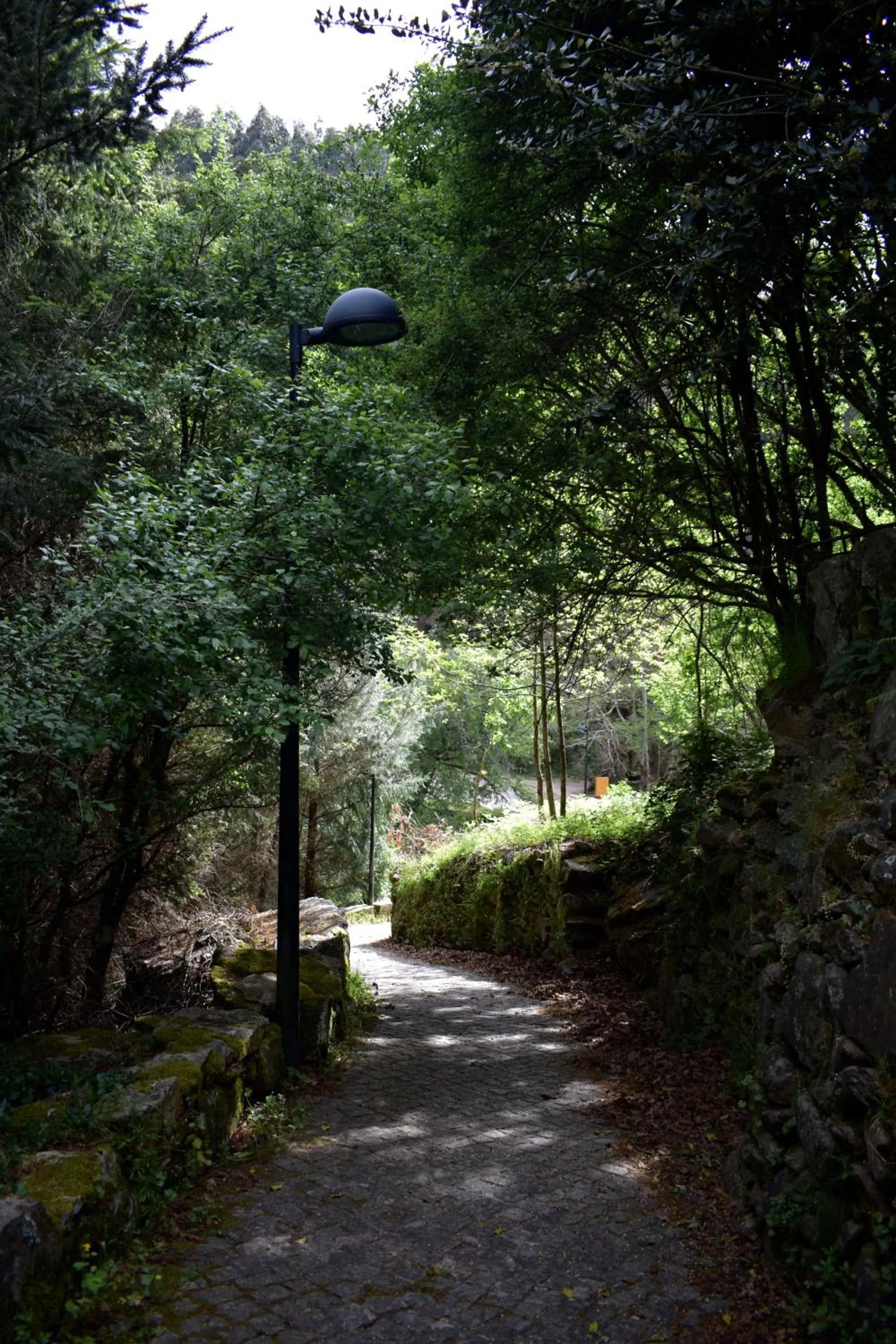 Hiking in Casa do Neveiro