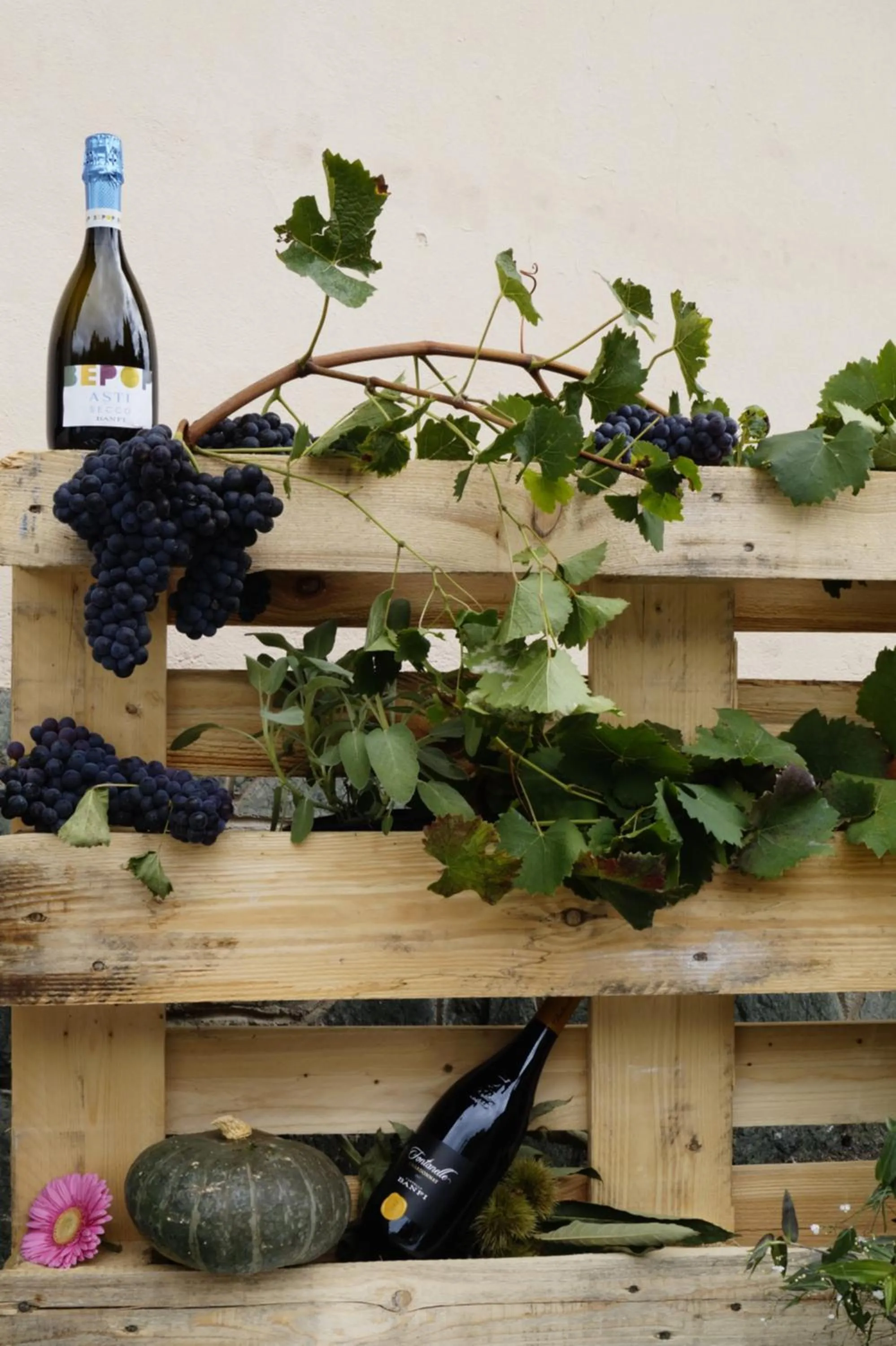 Decorative detail in Bed And Breakfast Il Garoch