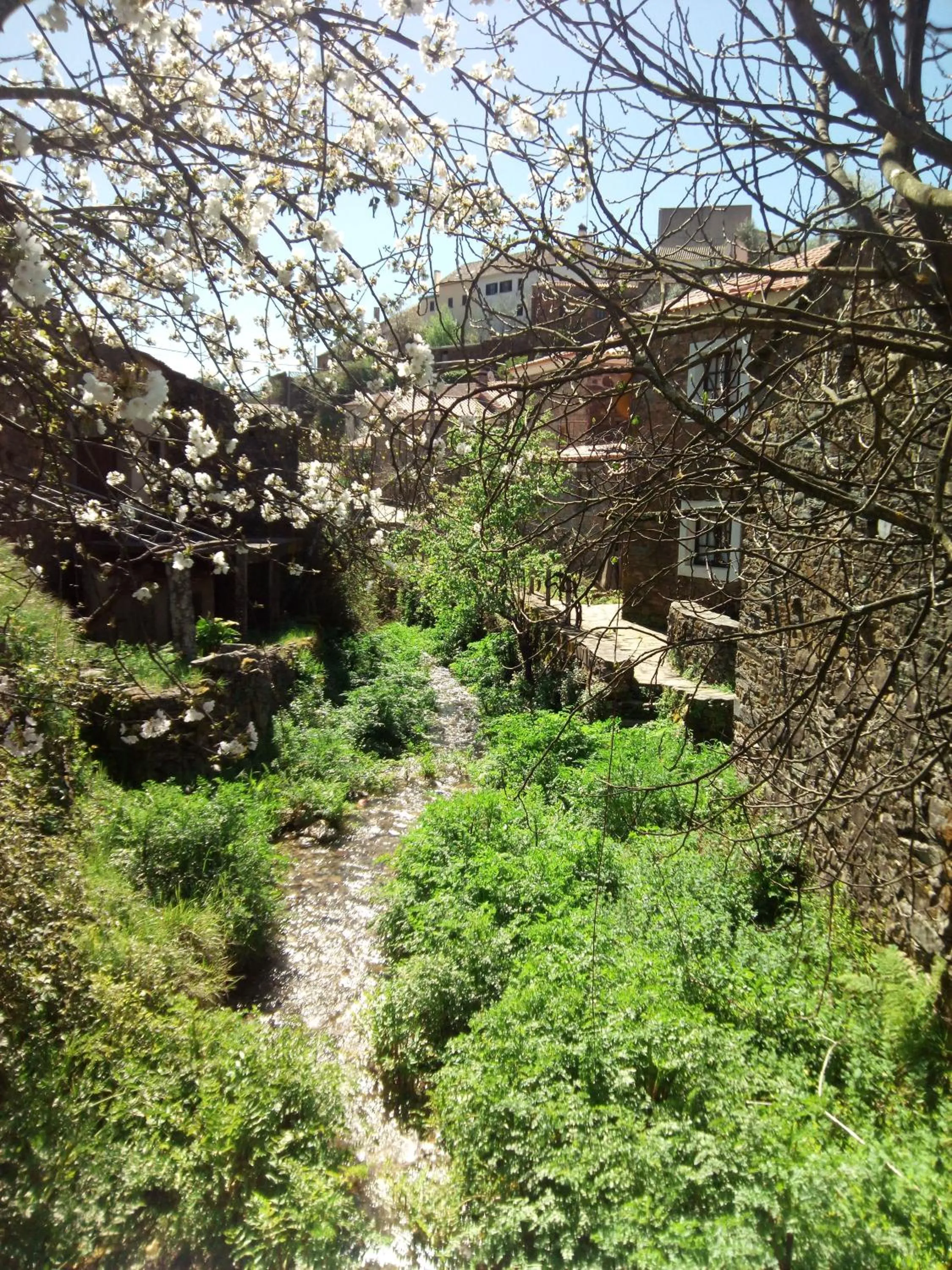 Natural landscape in Casas da Encosta