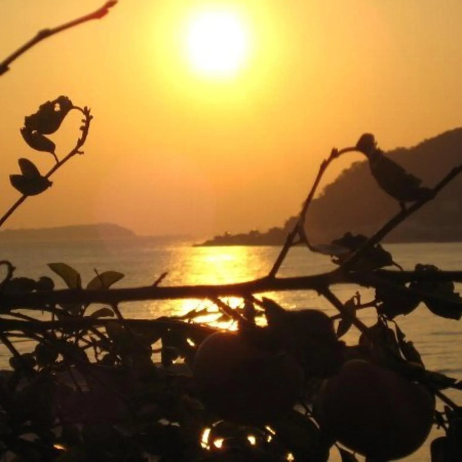 Natural landscape in AtamiOnsen Nagahamaen