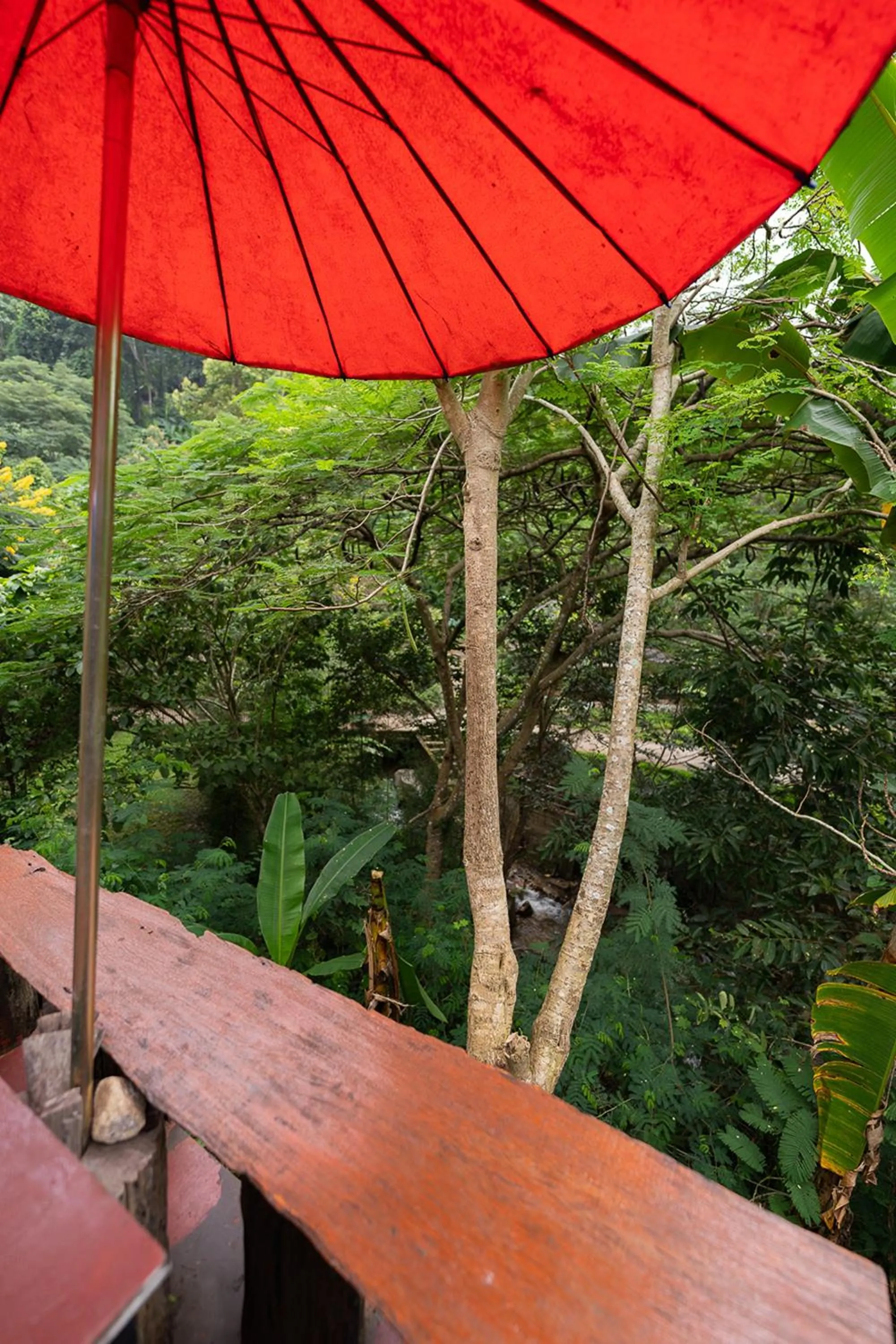 Natural landscape in Monruamsuk Homestay Cafe and Bistro