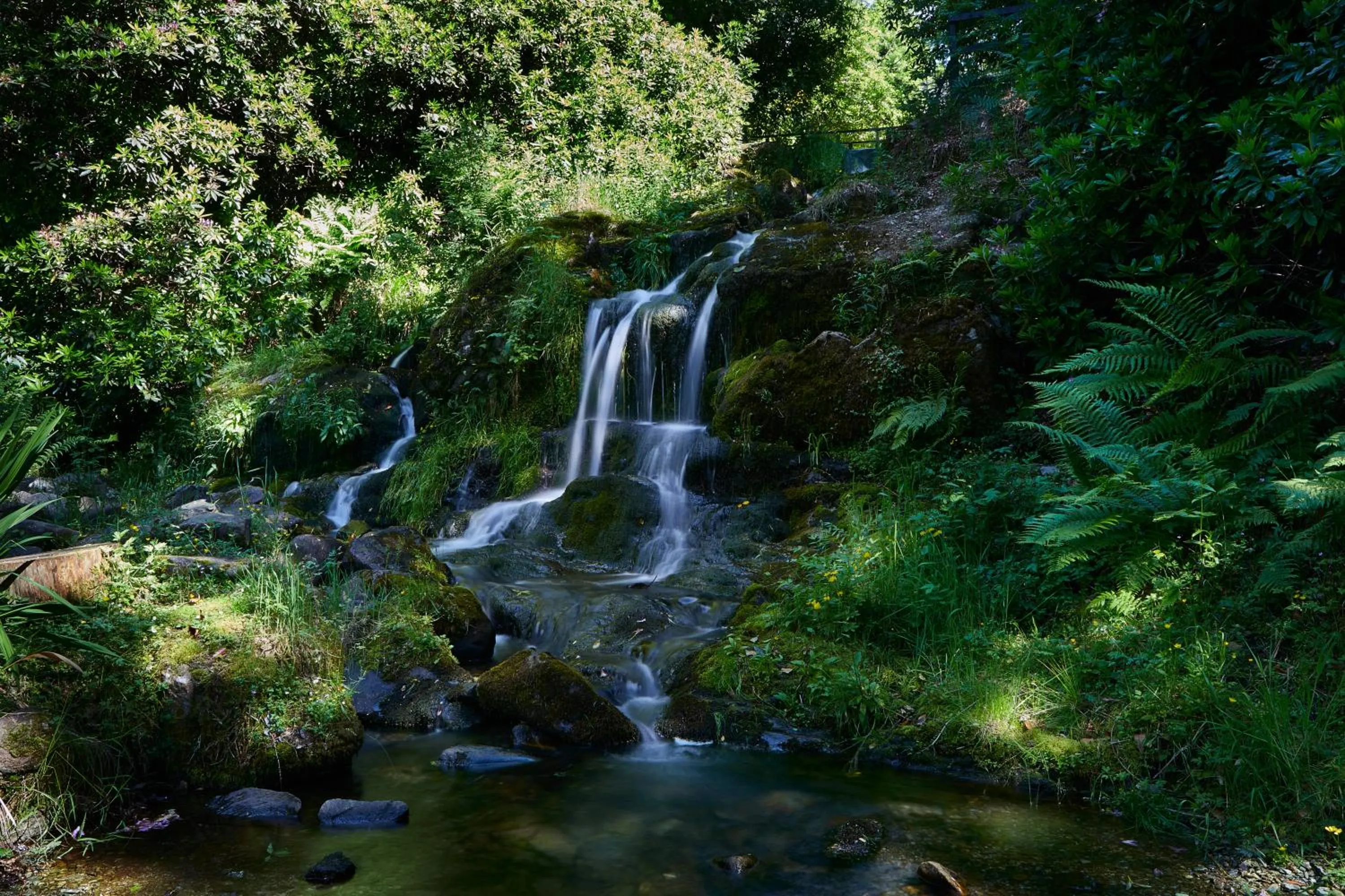 Natural landscape in Macdonald Forest Hills Hotel & Spa