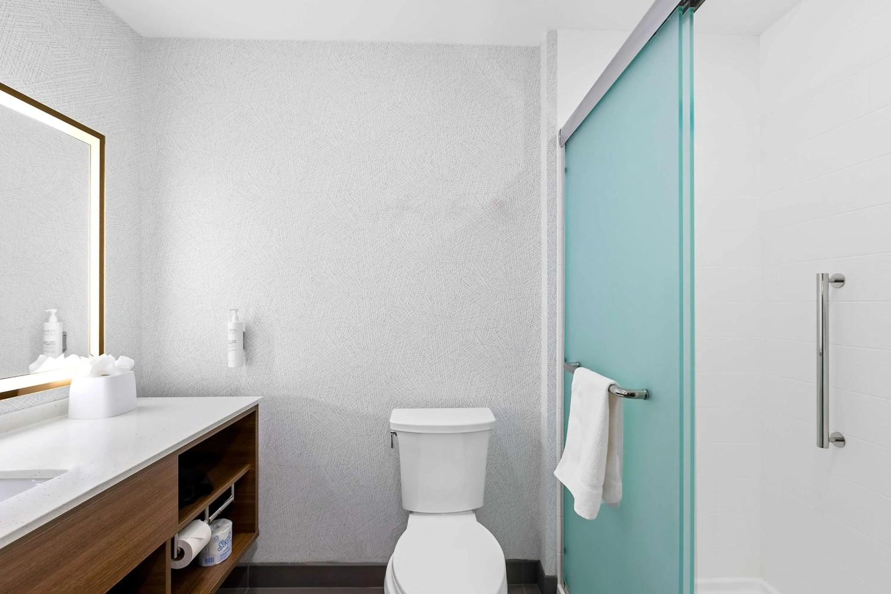 Bathroom in Home2 Suites By Hilton Hendersonville