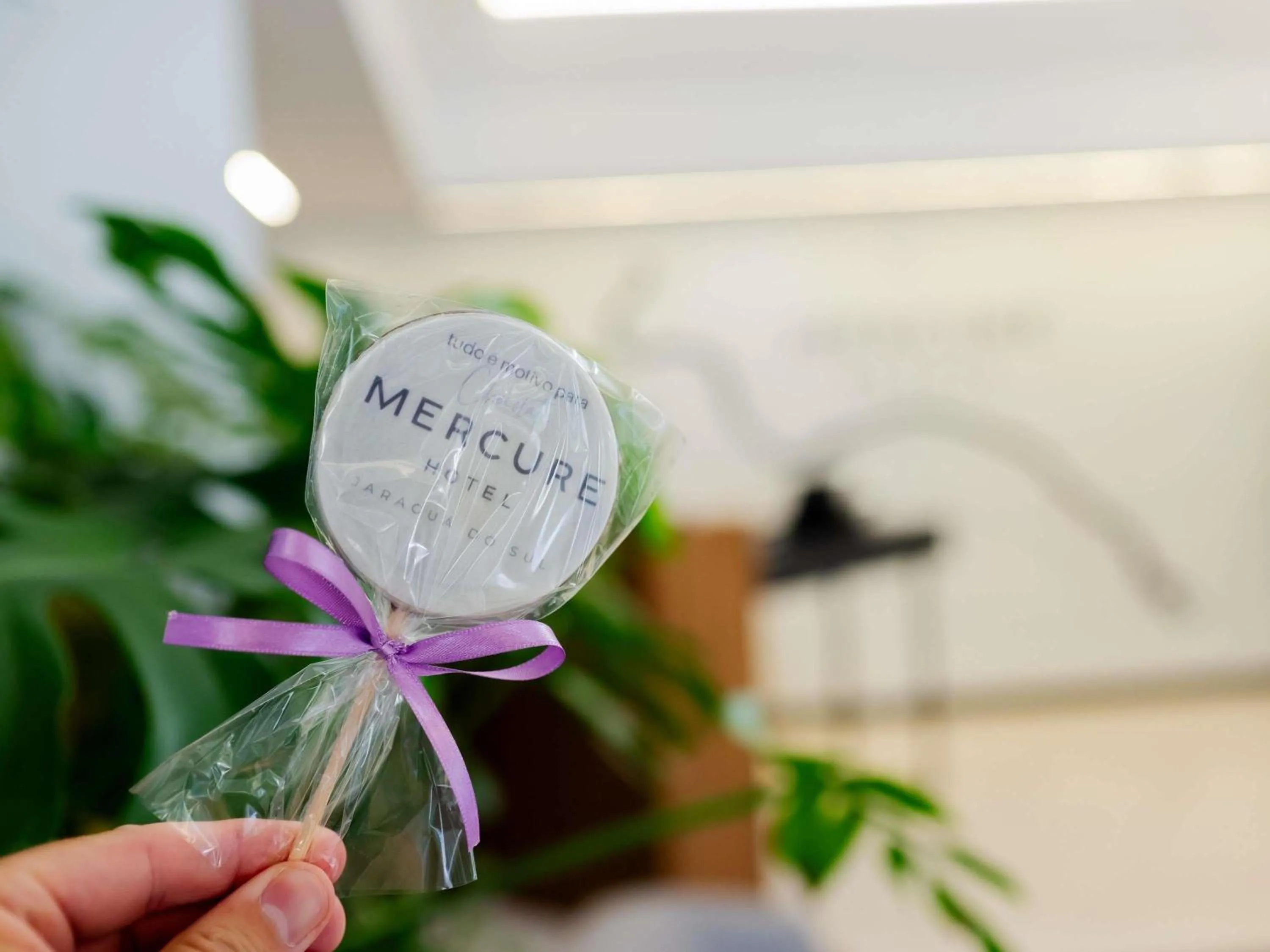 Property building in Mercure Jaragua do Sul