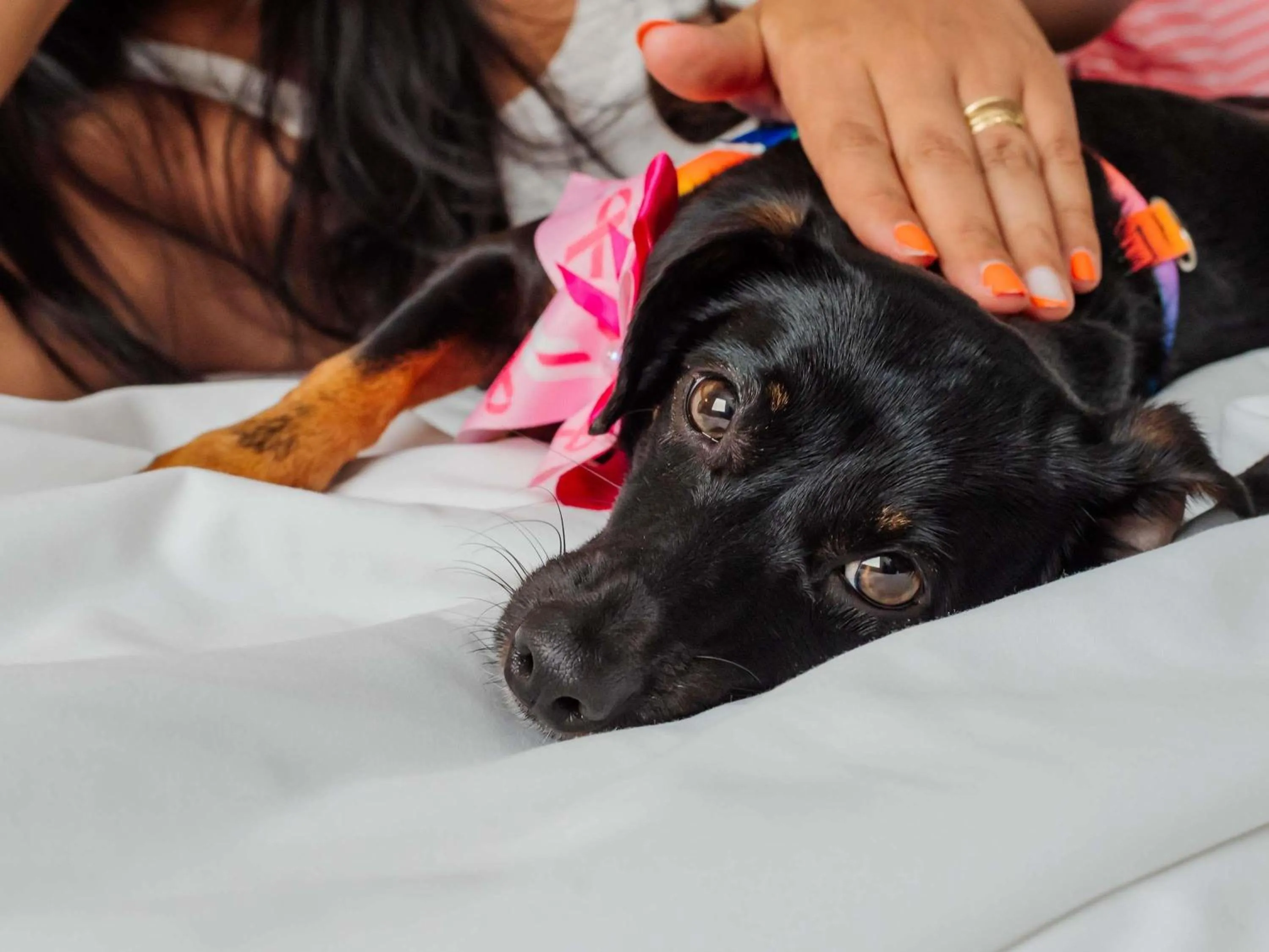 Bedroom in Mercure Jaragua do Sul