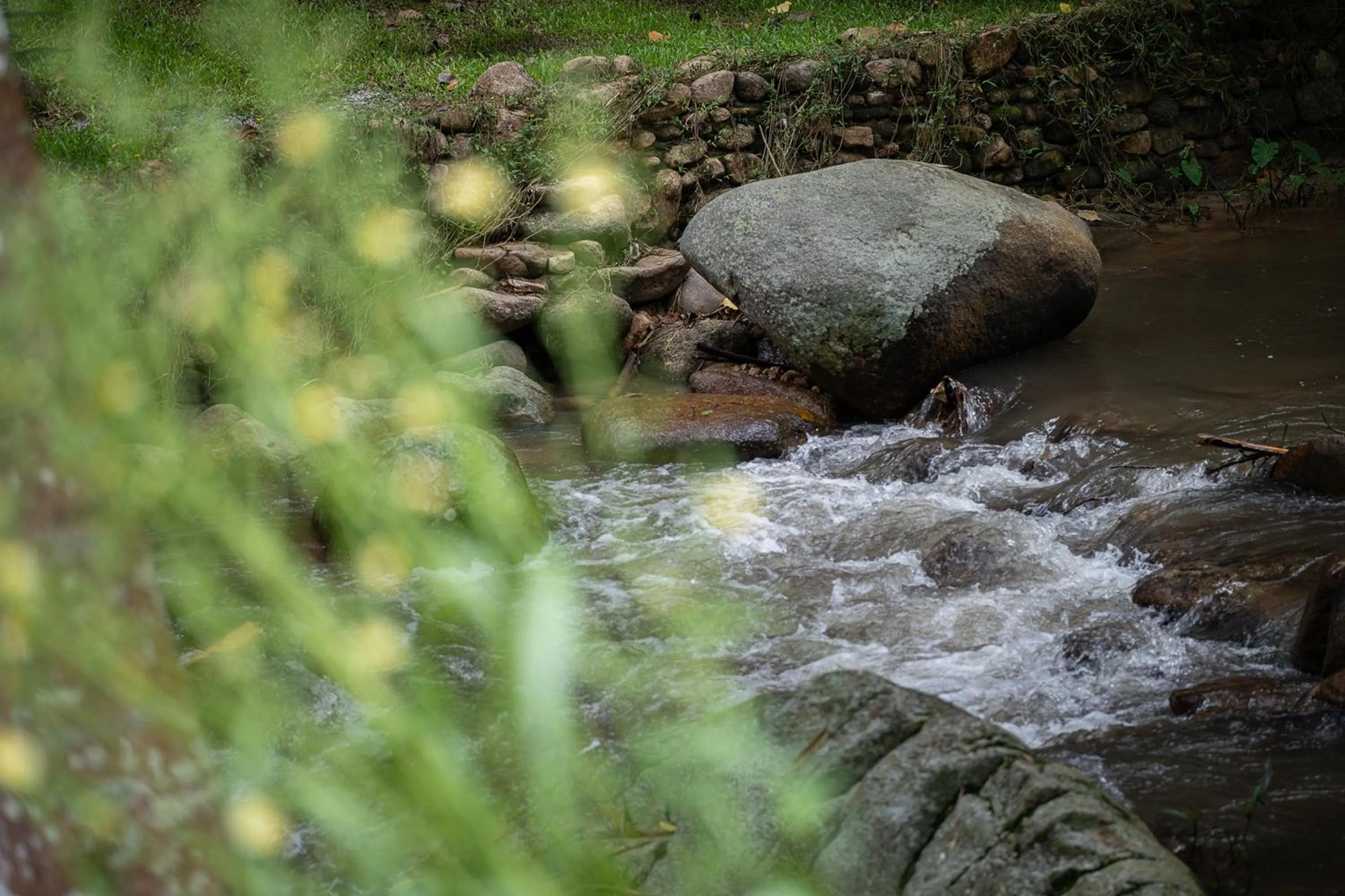 Natural landscape in Inthada At Mae Kampong
