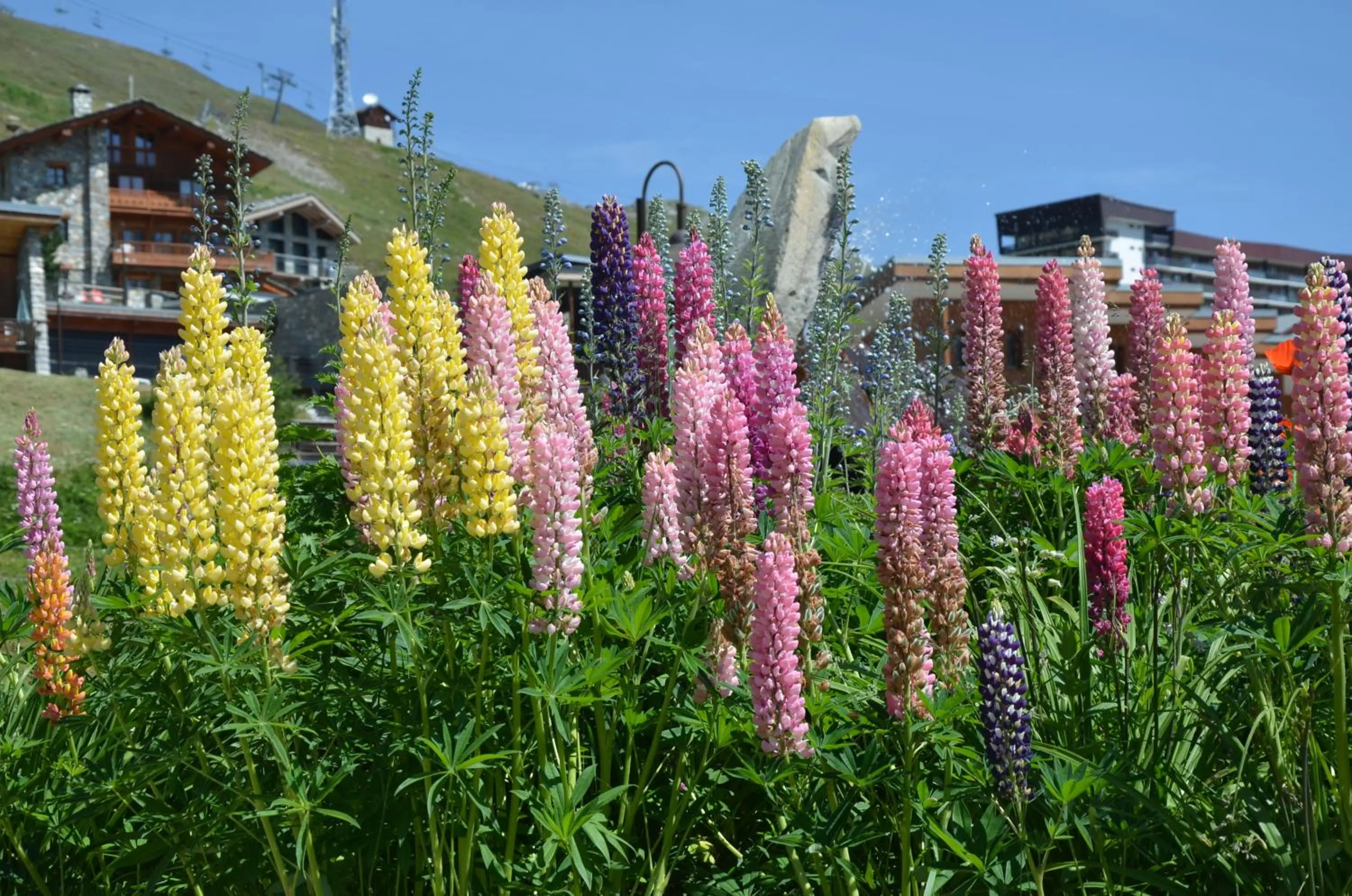 Summer in Résidence Santa Terra