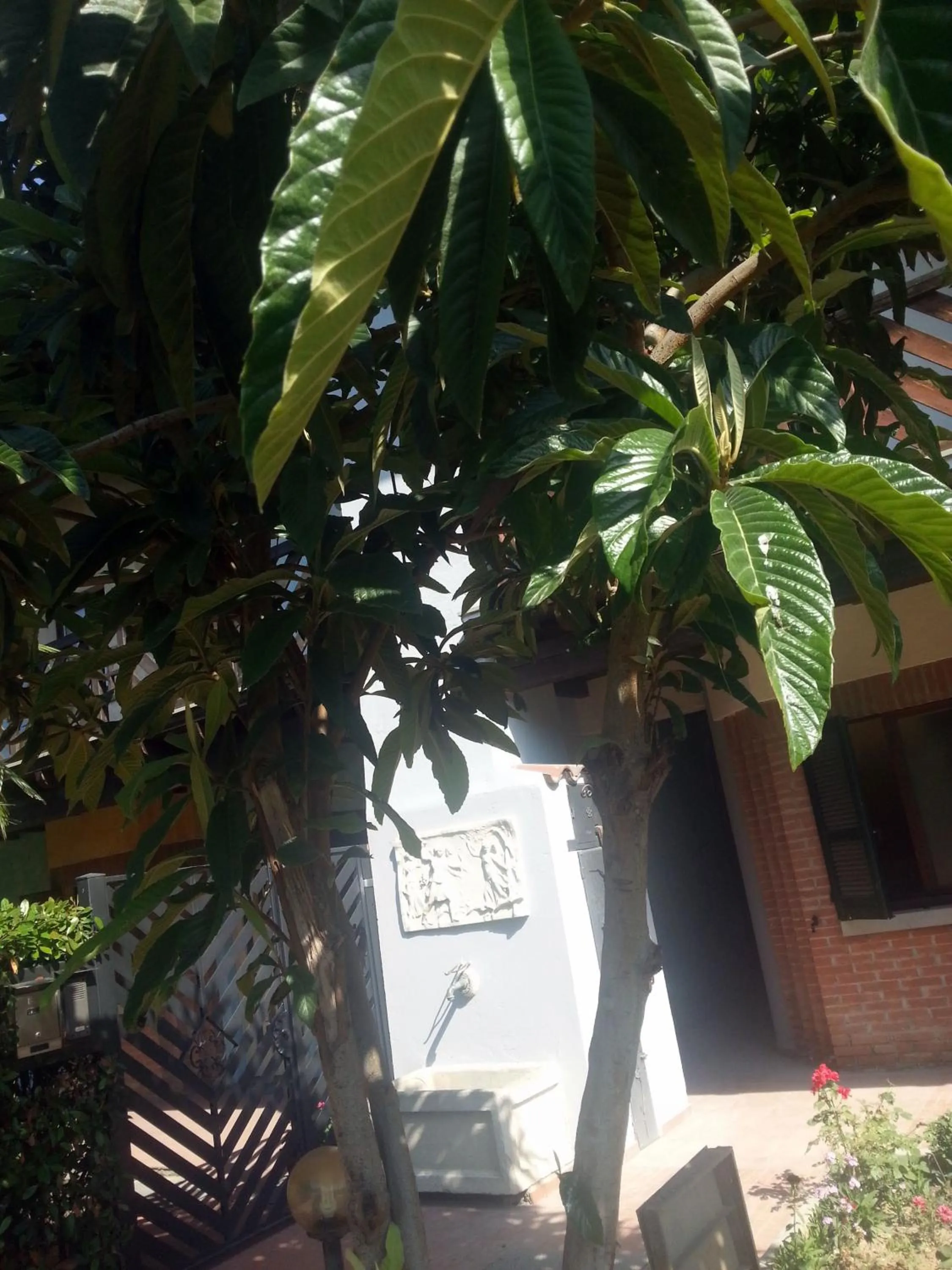 Decorative detail in Le Residenze del Tenore