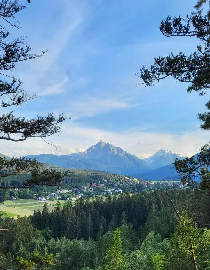 Neighbourhood in Hotel Batzenhäusl