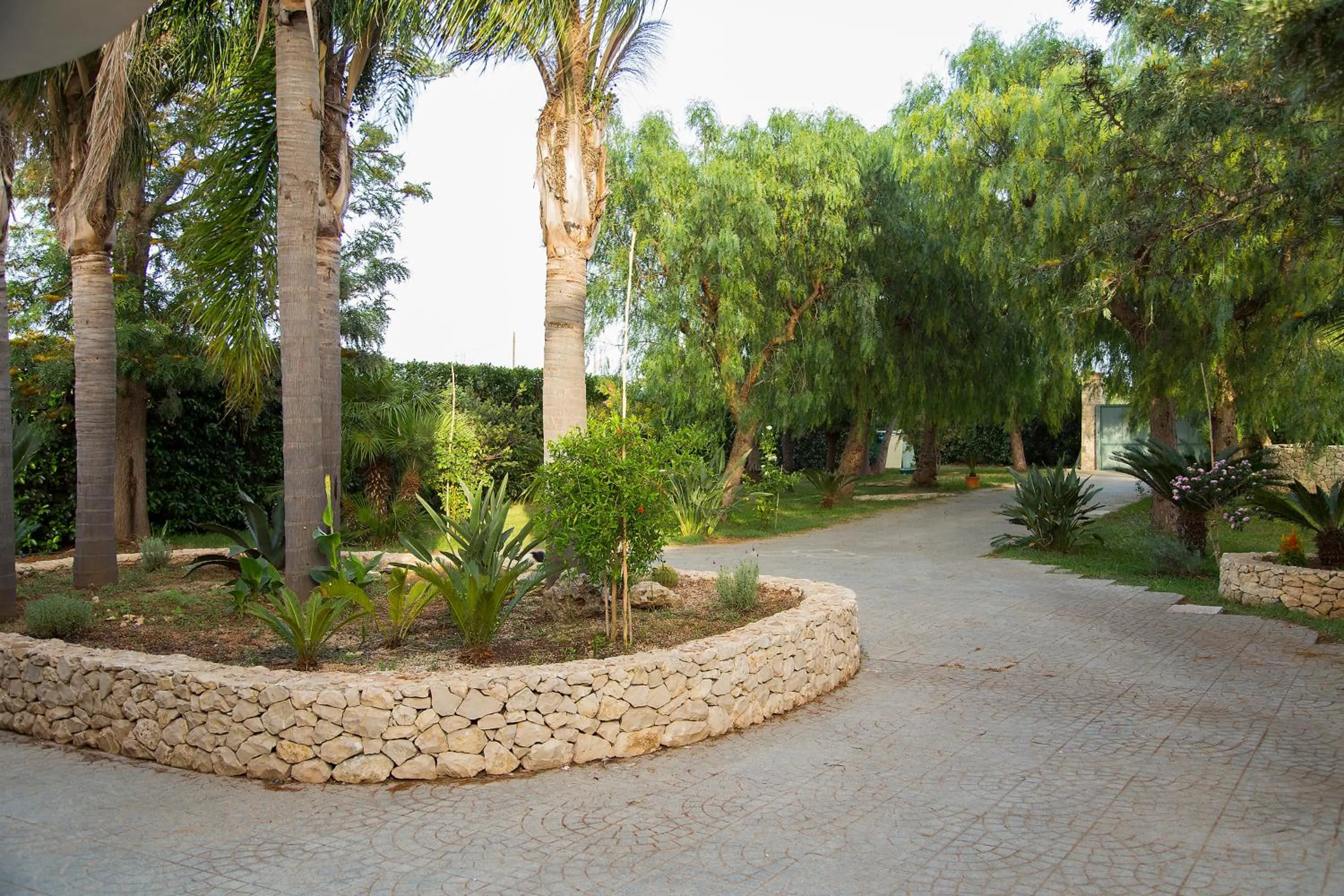 Garden in B&B Villa Fanizza