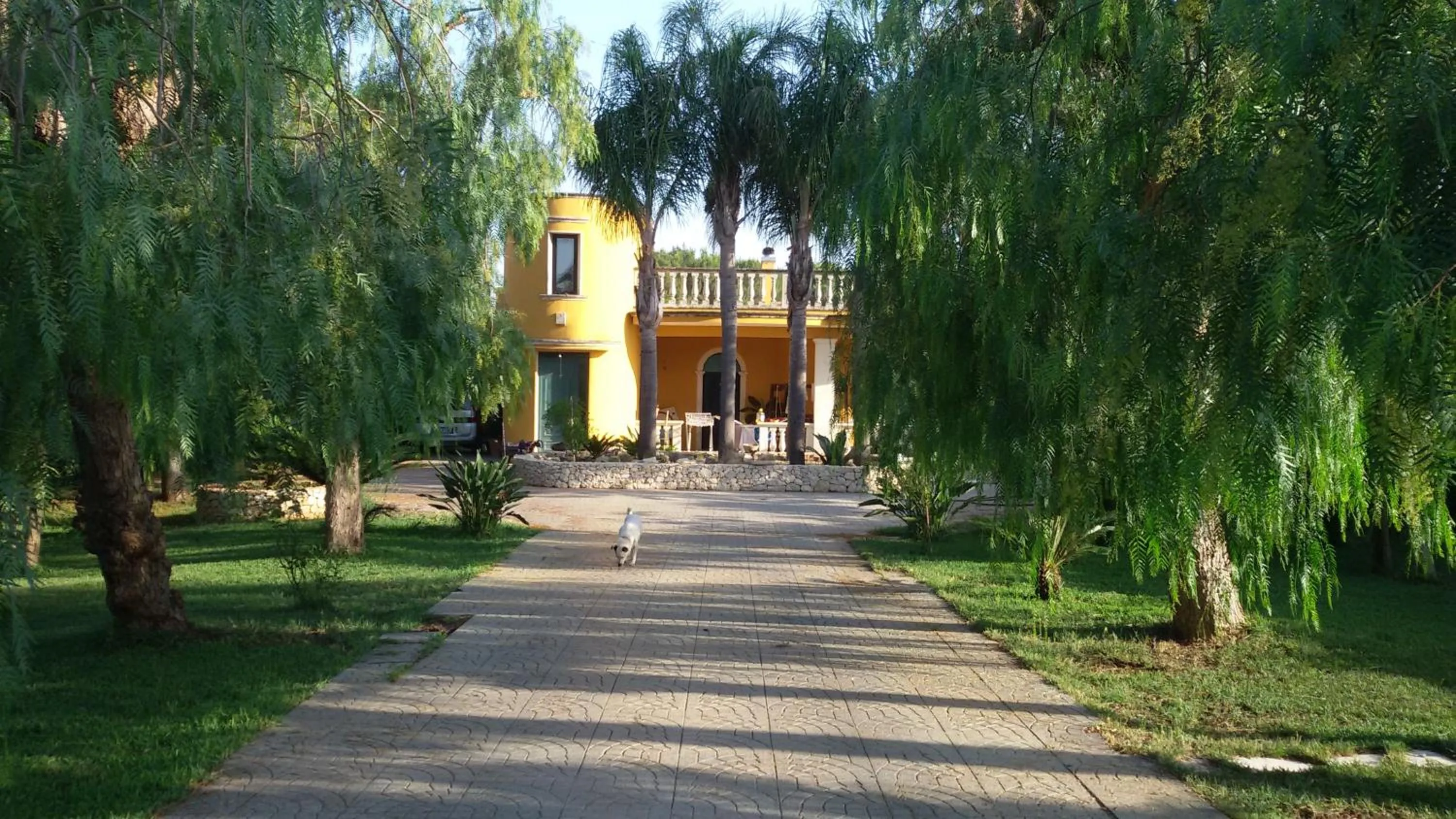 Facade/entrance in B&B Villa Fanizza