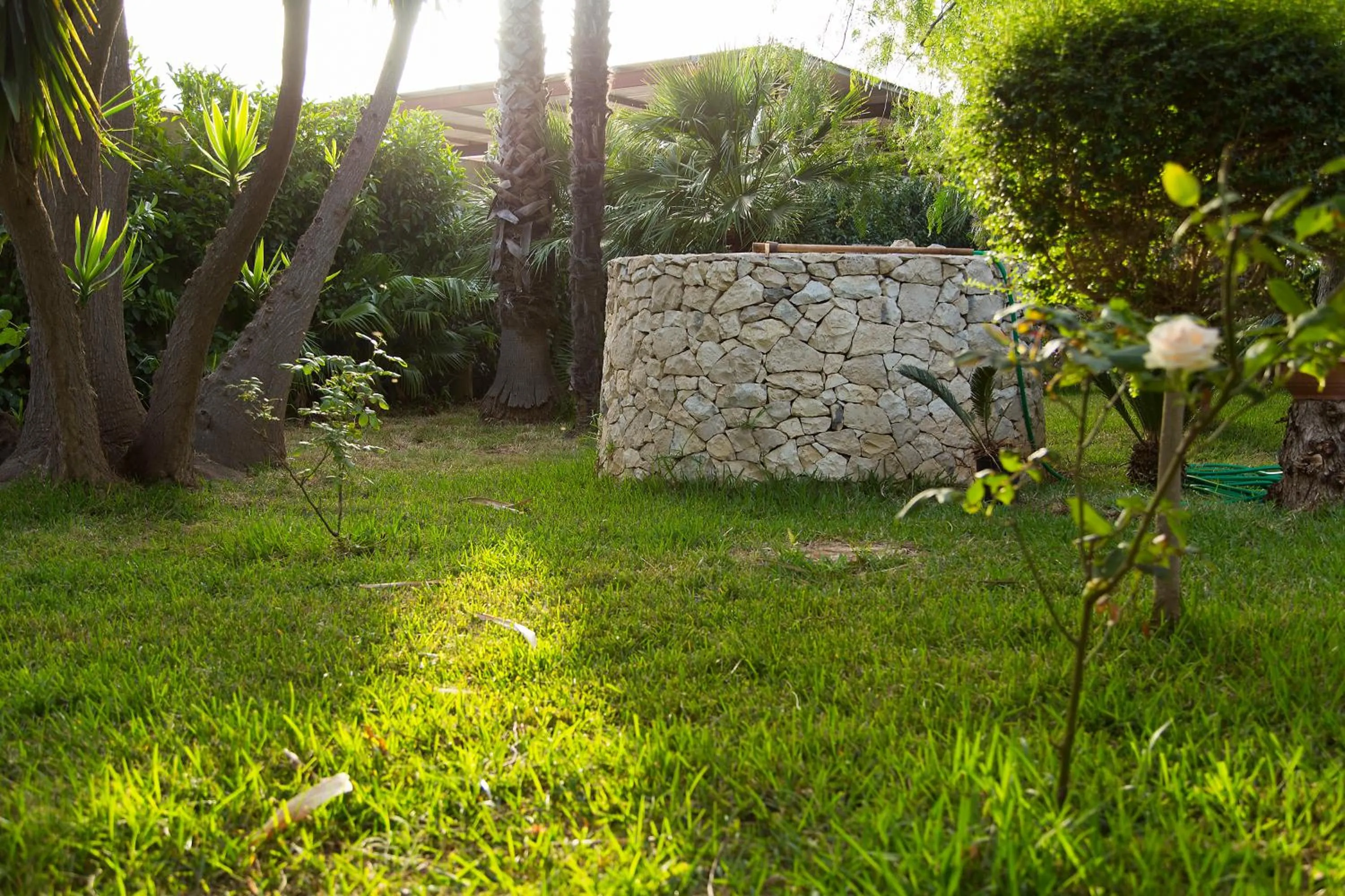 Garden in B&B Villa Fanizza