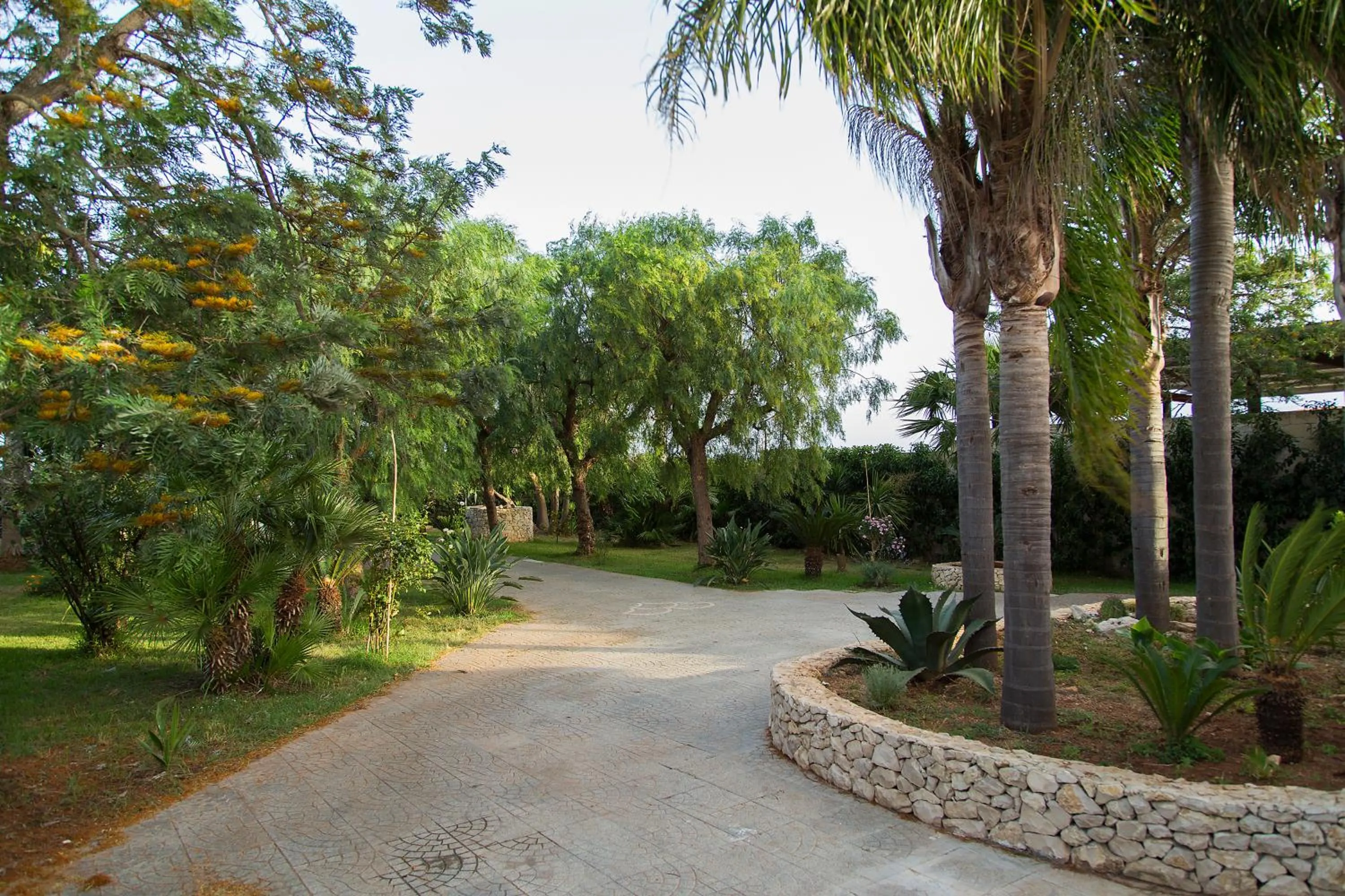 Garden in B&B Villa Fanizza