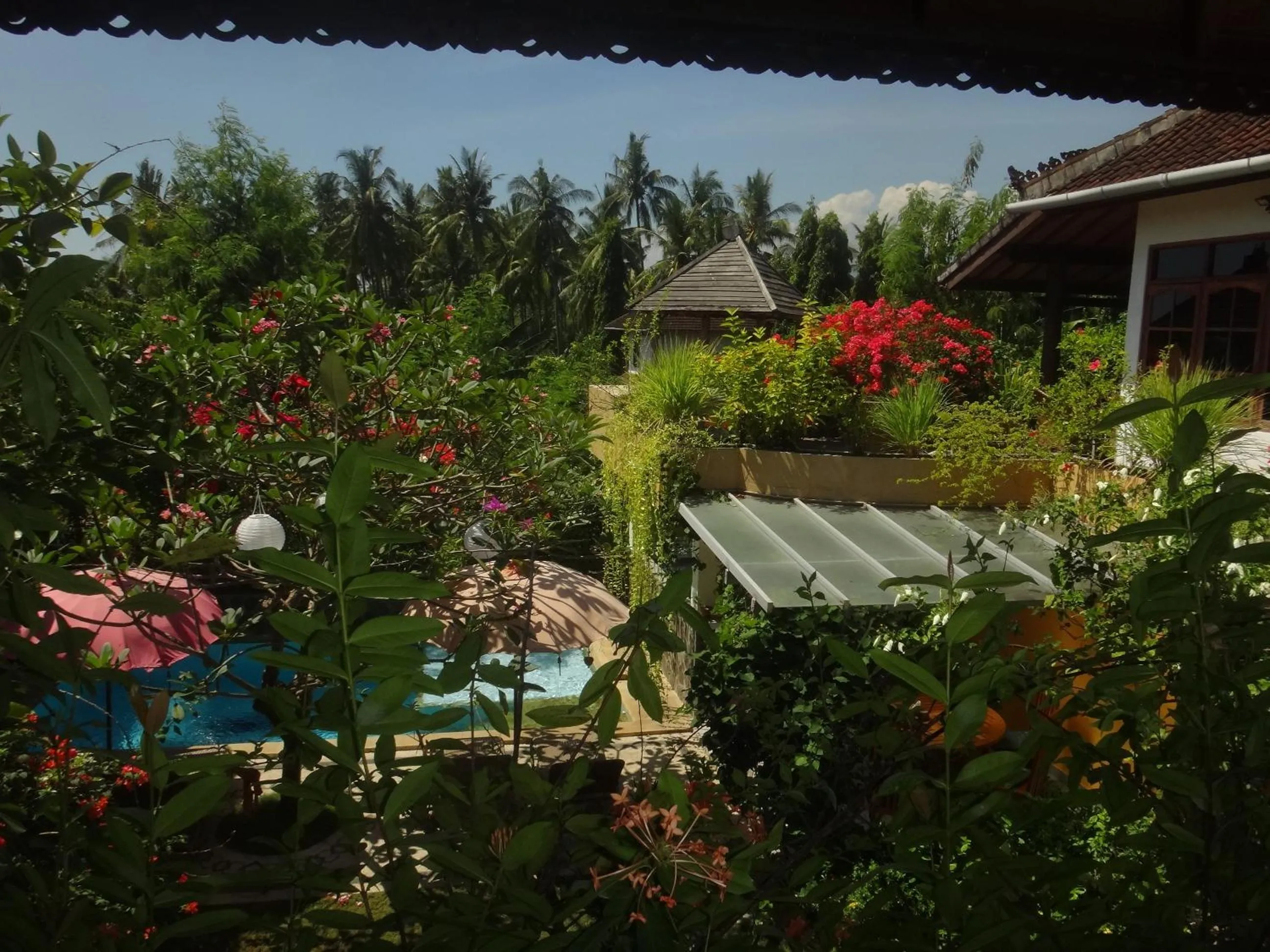 Garden in Villa Lumbalumba