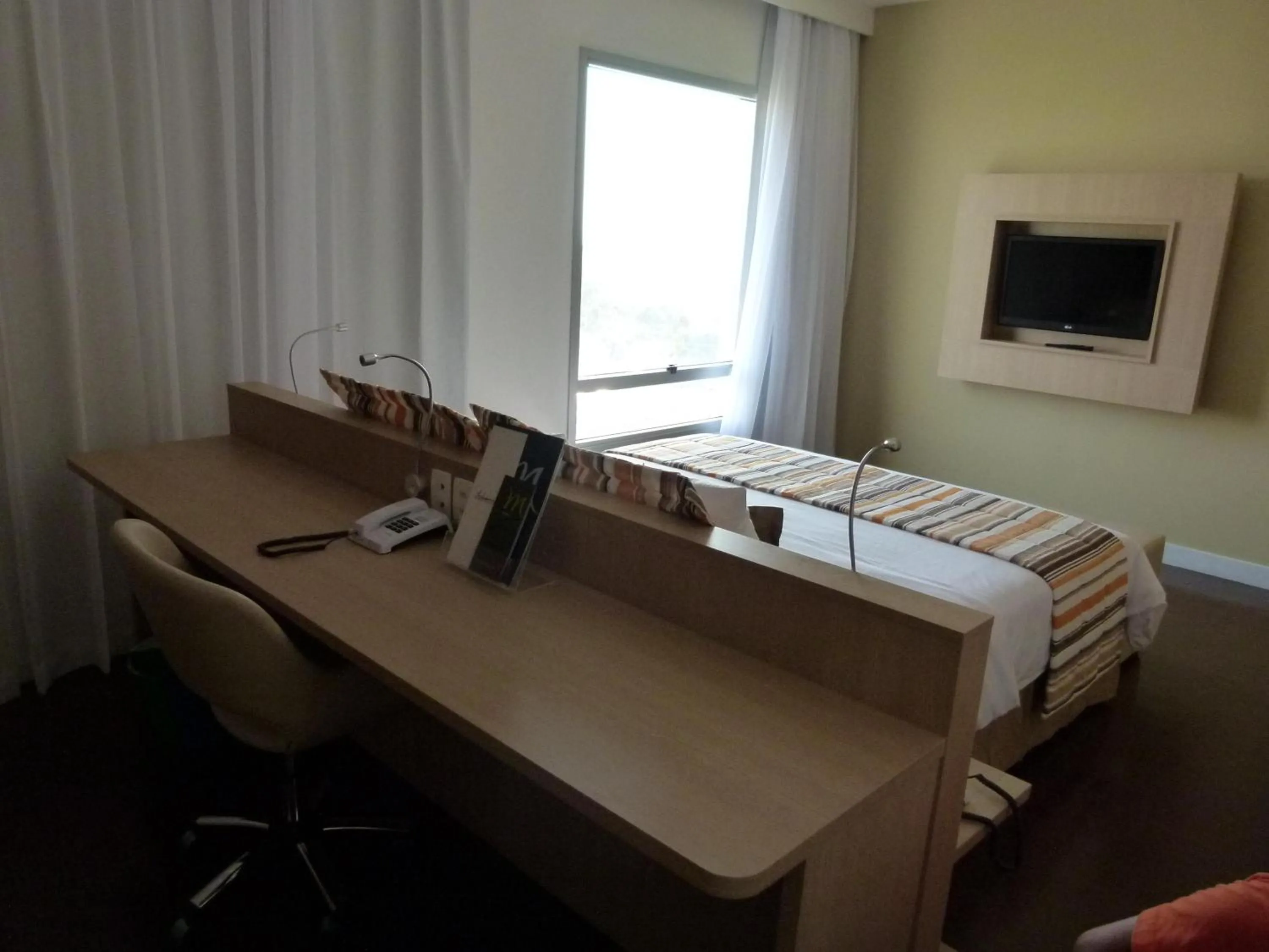 Day in Mercure Manaus